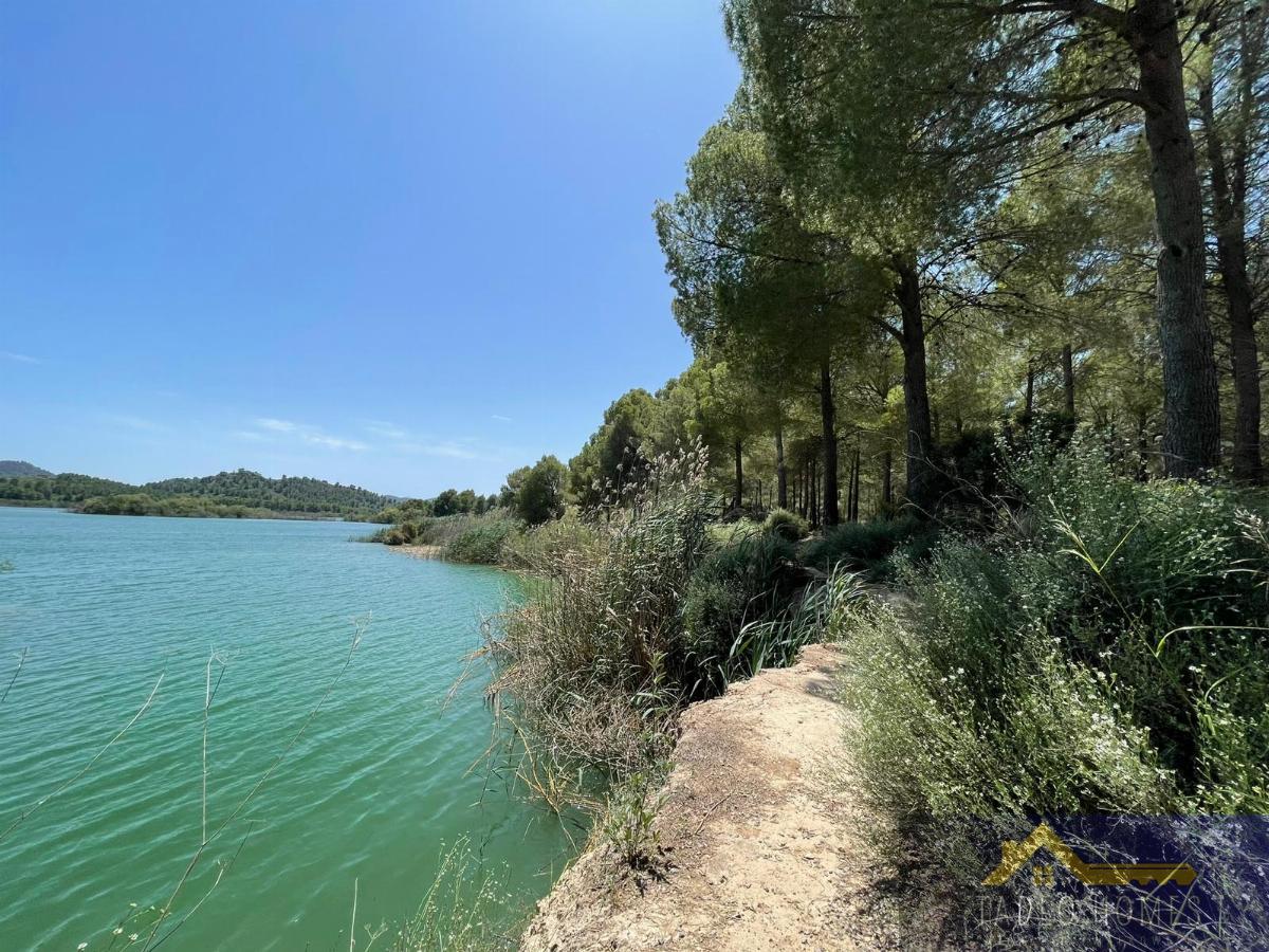 Vente de villa dans Calasparra