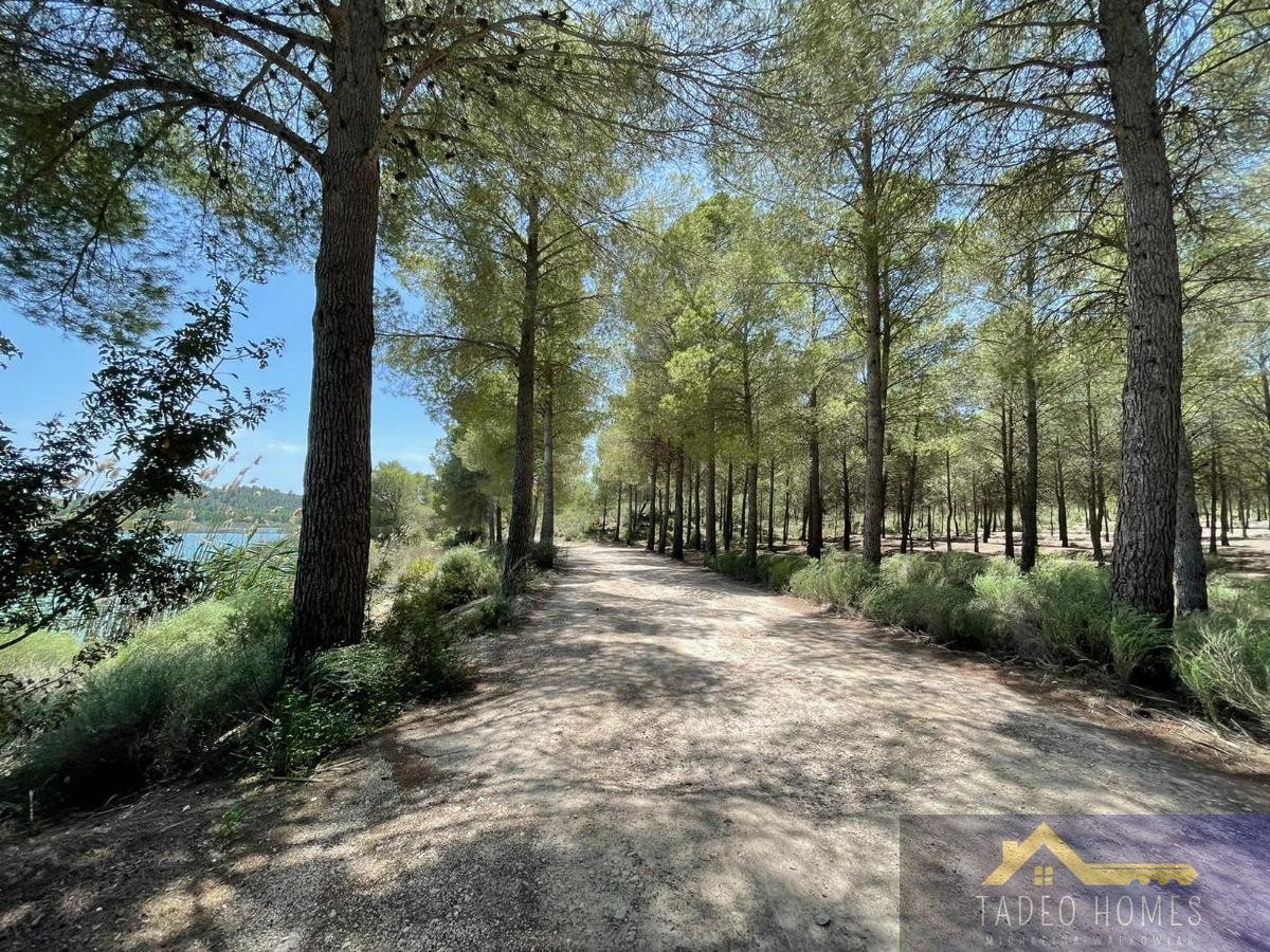 Vente de villa dans Calasparra