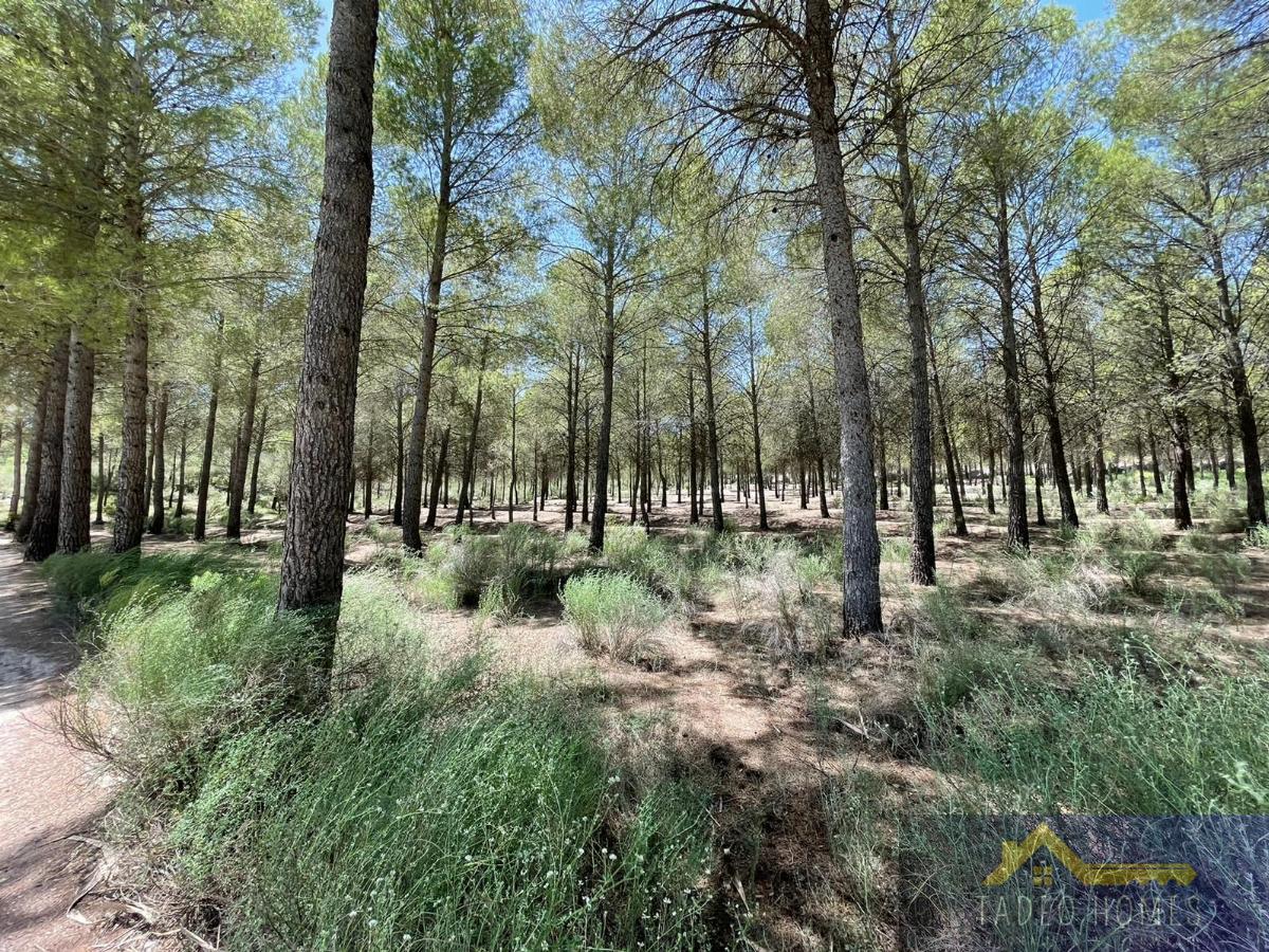 Vente de villa dans Calasparra