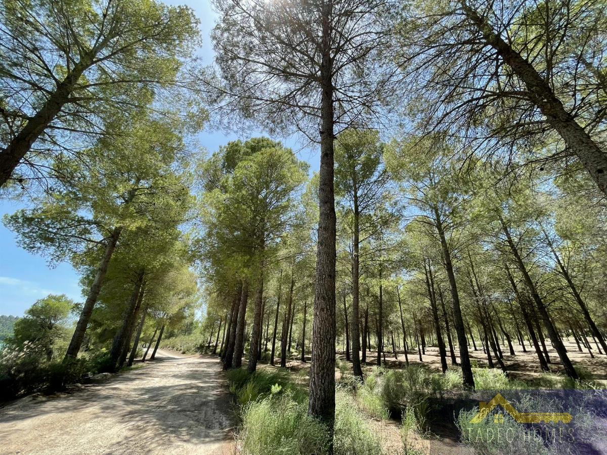Venta de villa en Calasparra Venta de villa en Calasparra