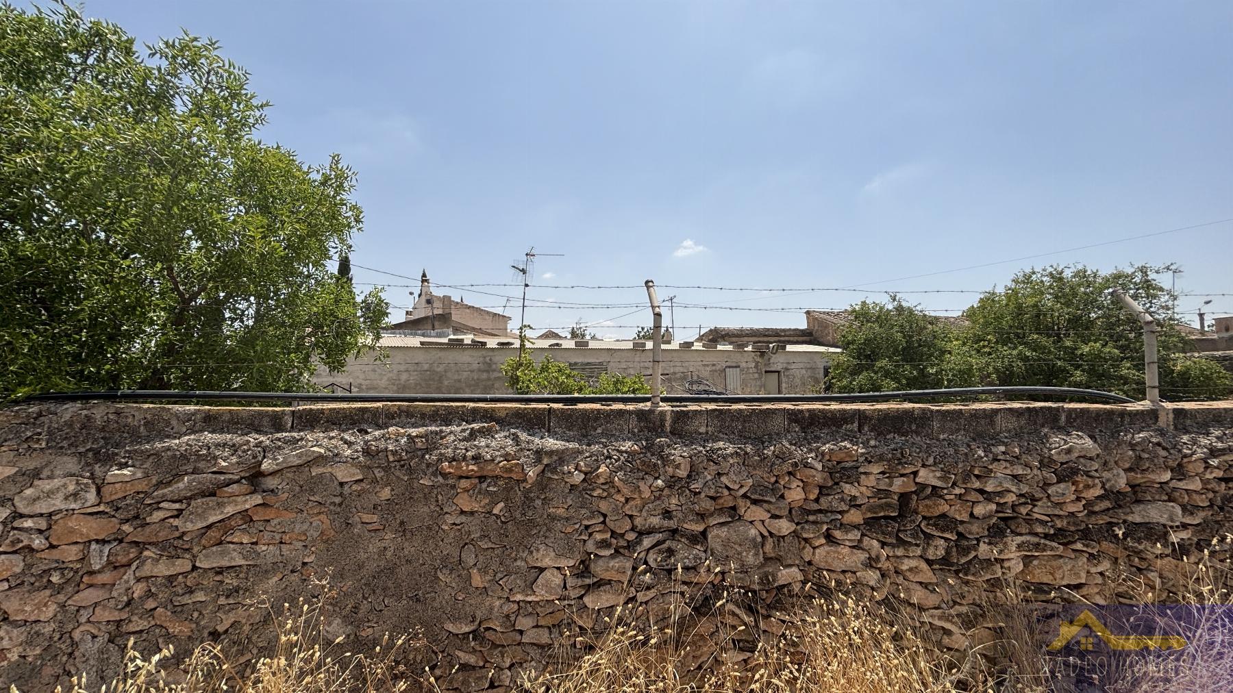 Venta de finca rústica en Los Martinez del Puerto