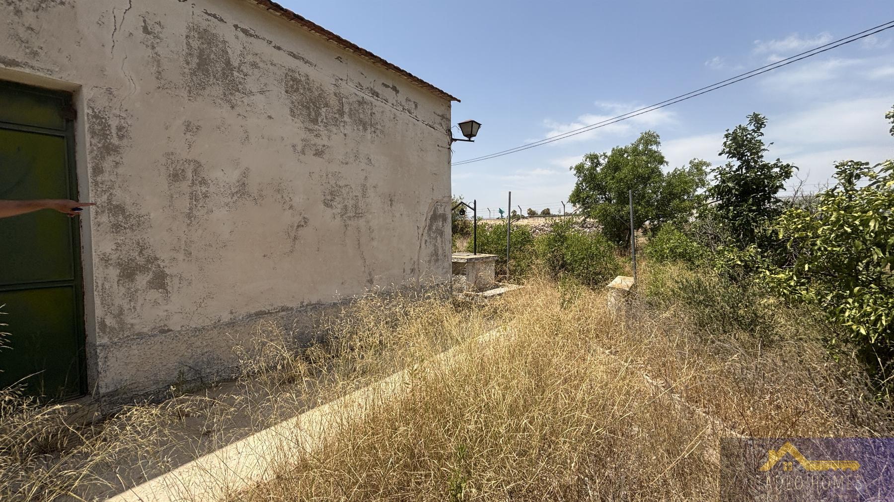 Venta de finca rústica en Los Martinez del Puerto