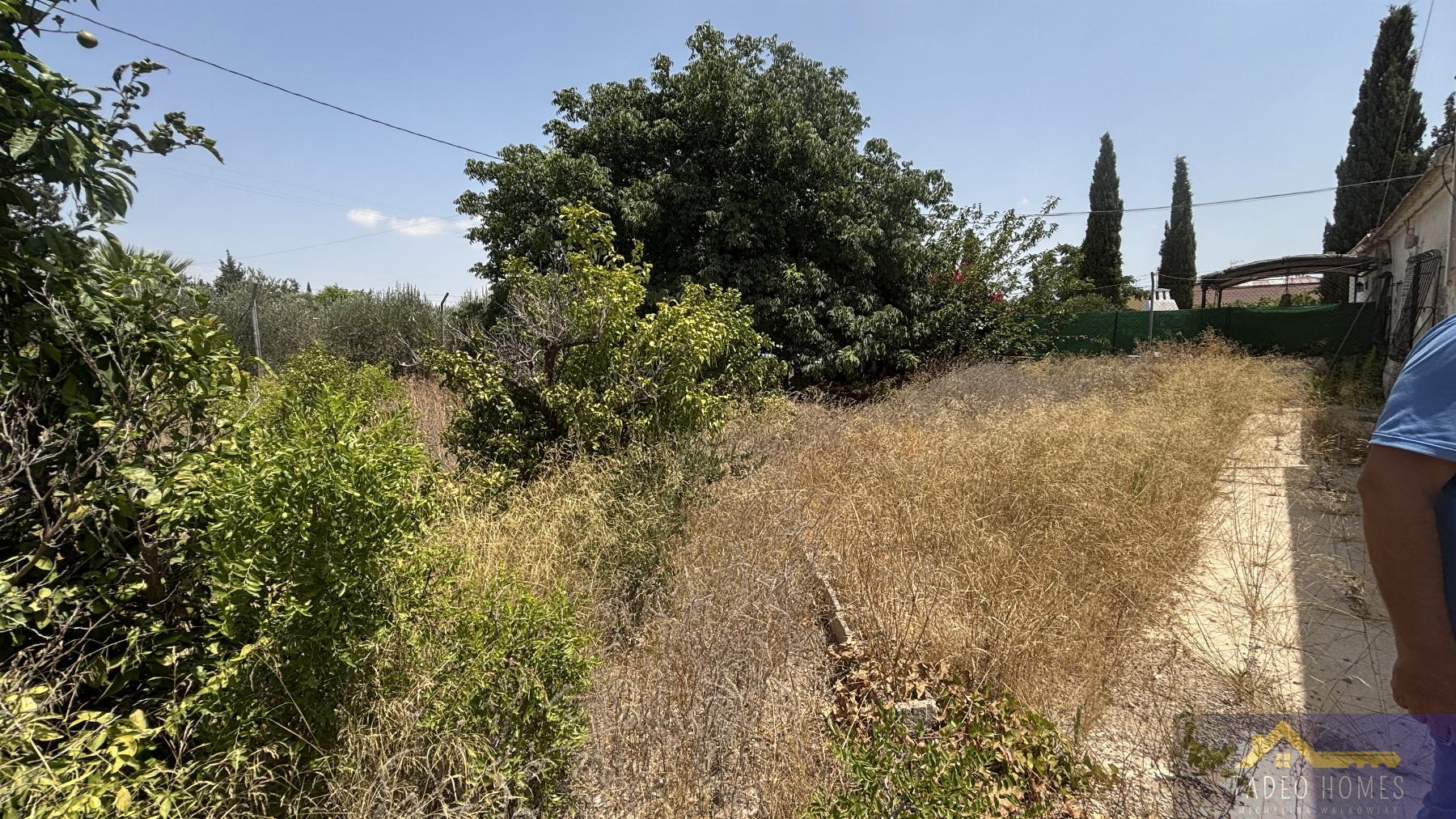 Venta de finca rústica en Los Martinez del Puerto