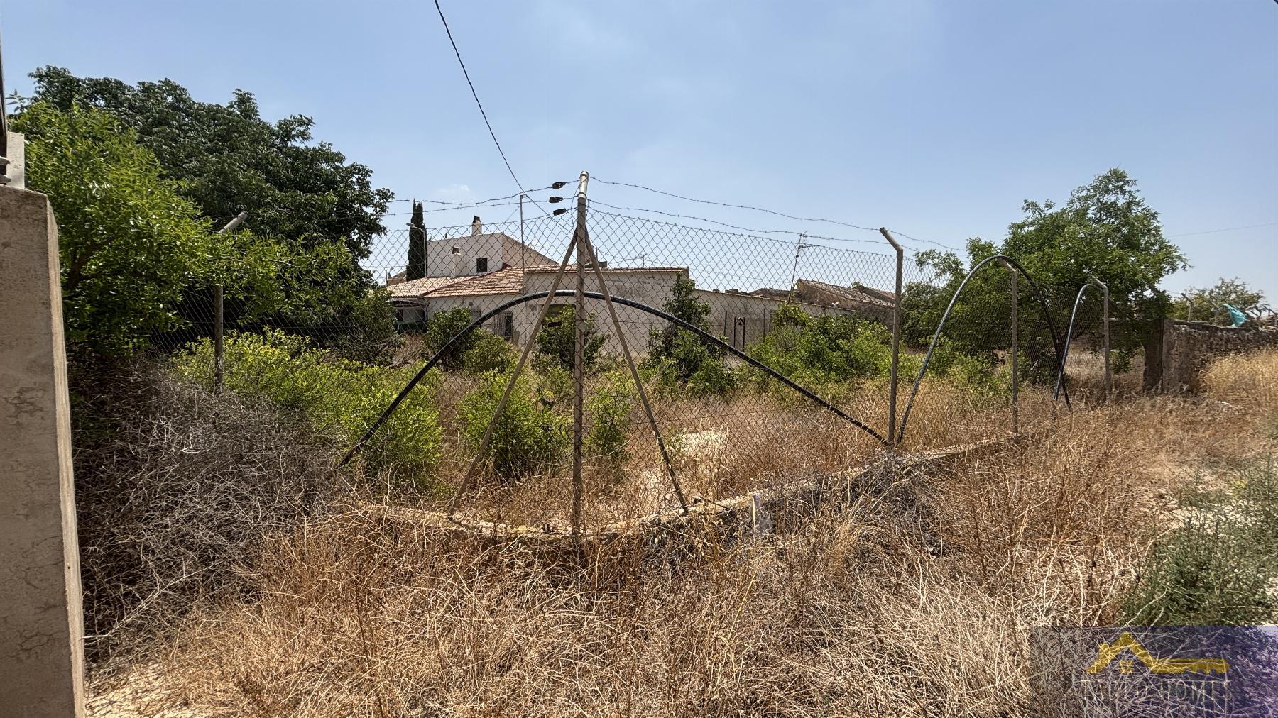 Venta de finca rústica en Los Martinez del Puerto