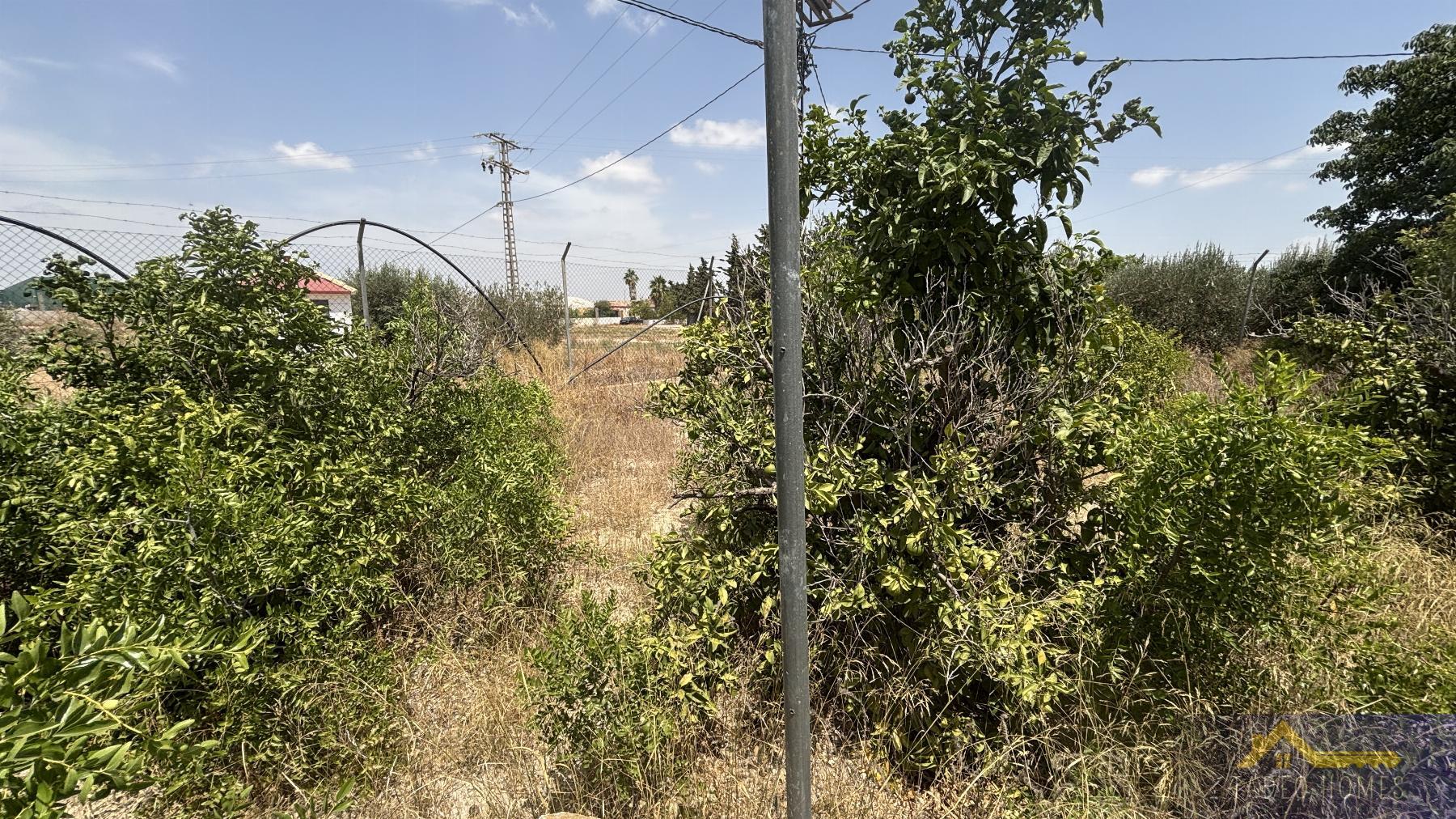 Venta de finca rústica en Los Martinez del Puerto