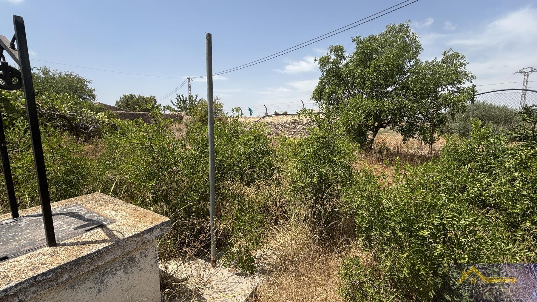 Venta de finca rústica en Los Martinez del Puerto