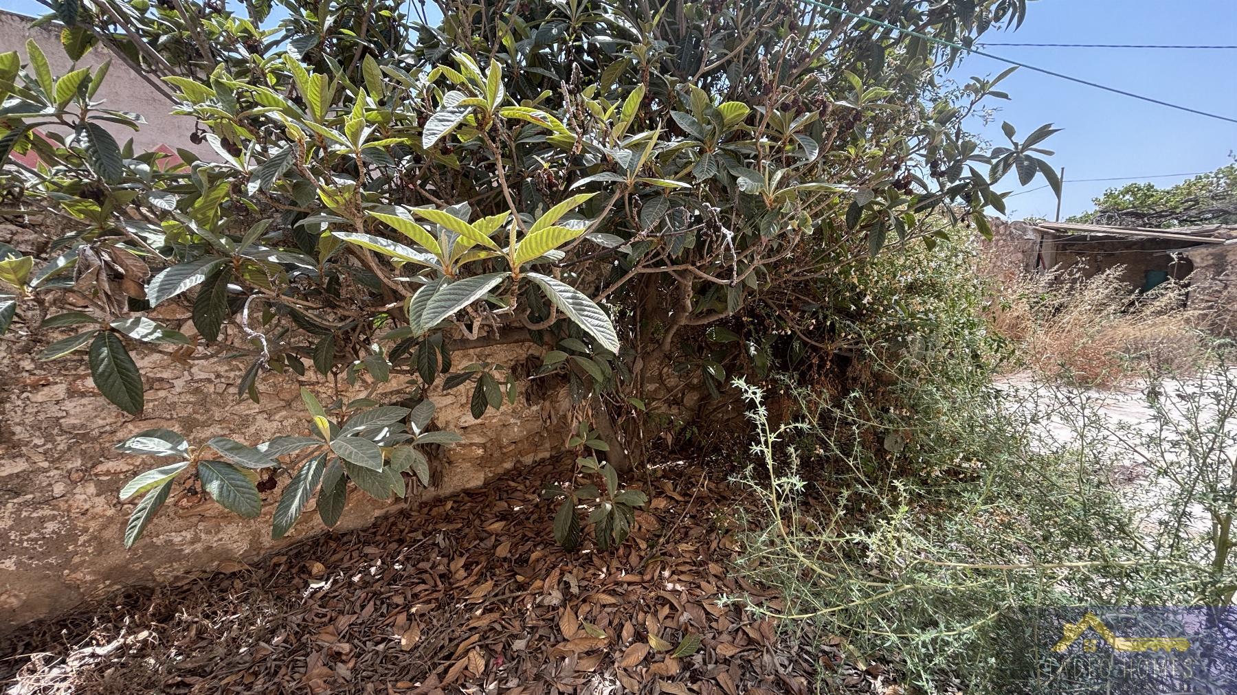 Venta de finca rústica en Los Martinez del Puerto