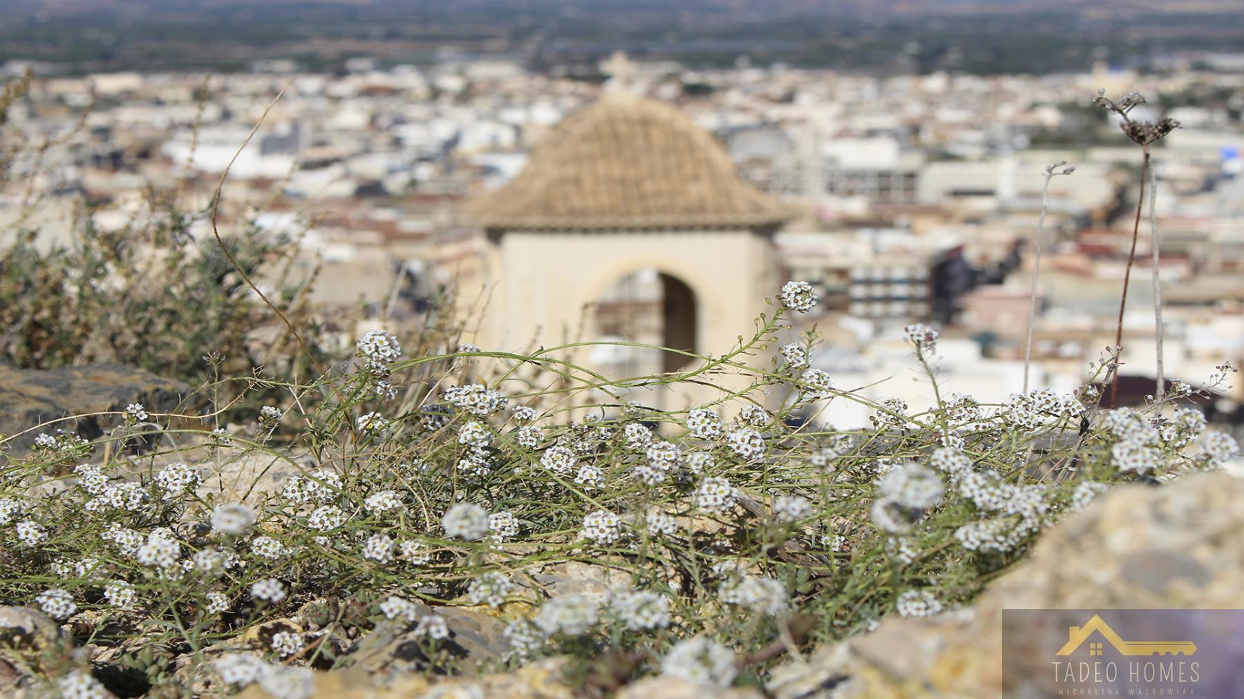 Venta de bungalow en Cox