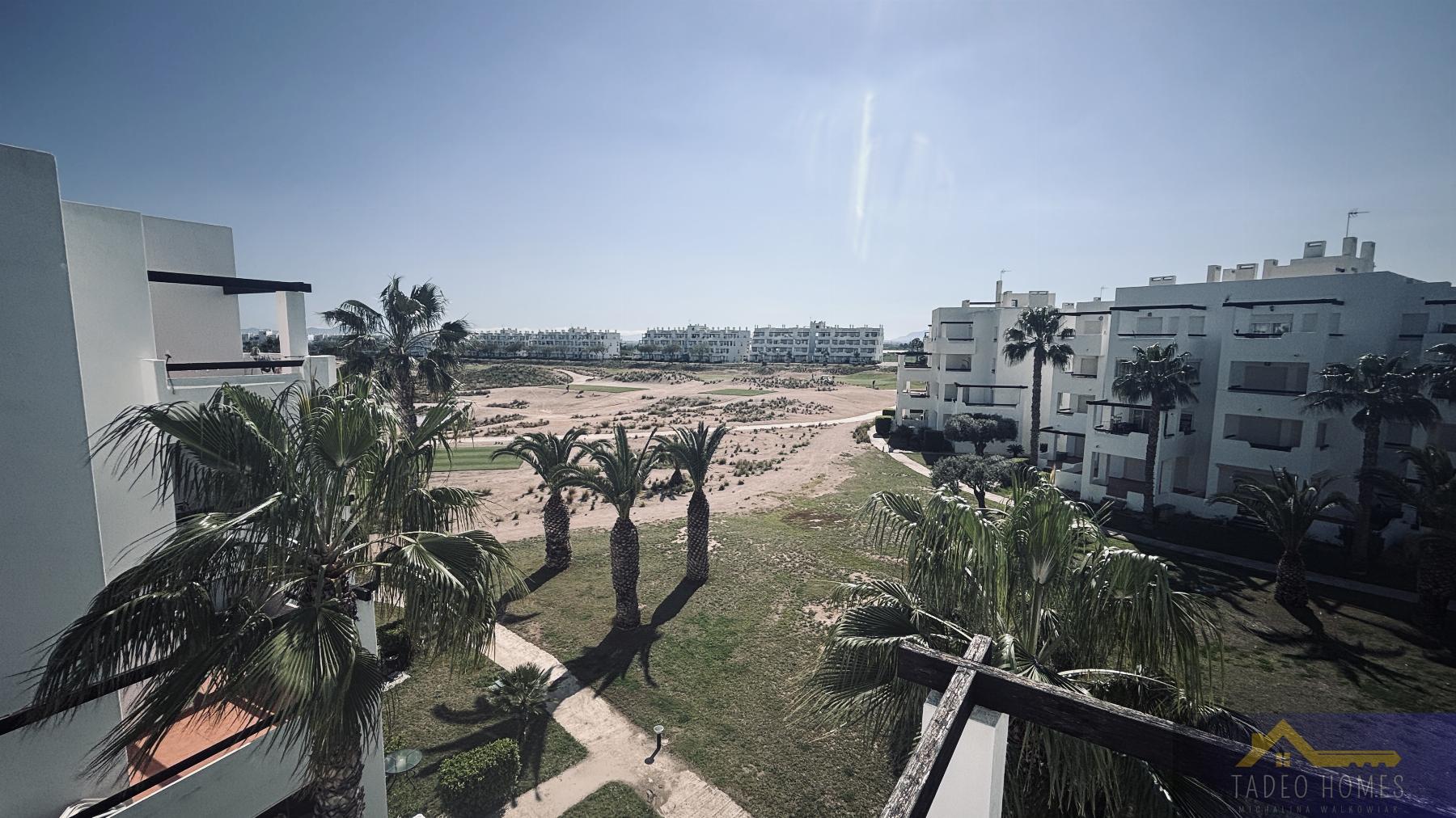 Apartment in Los Sanchez - Image 2