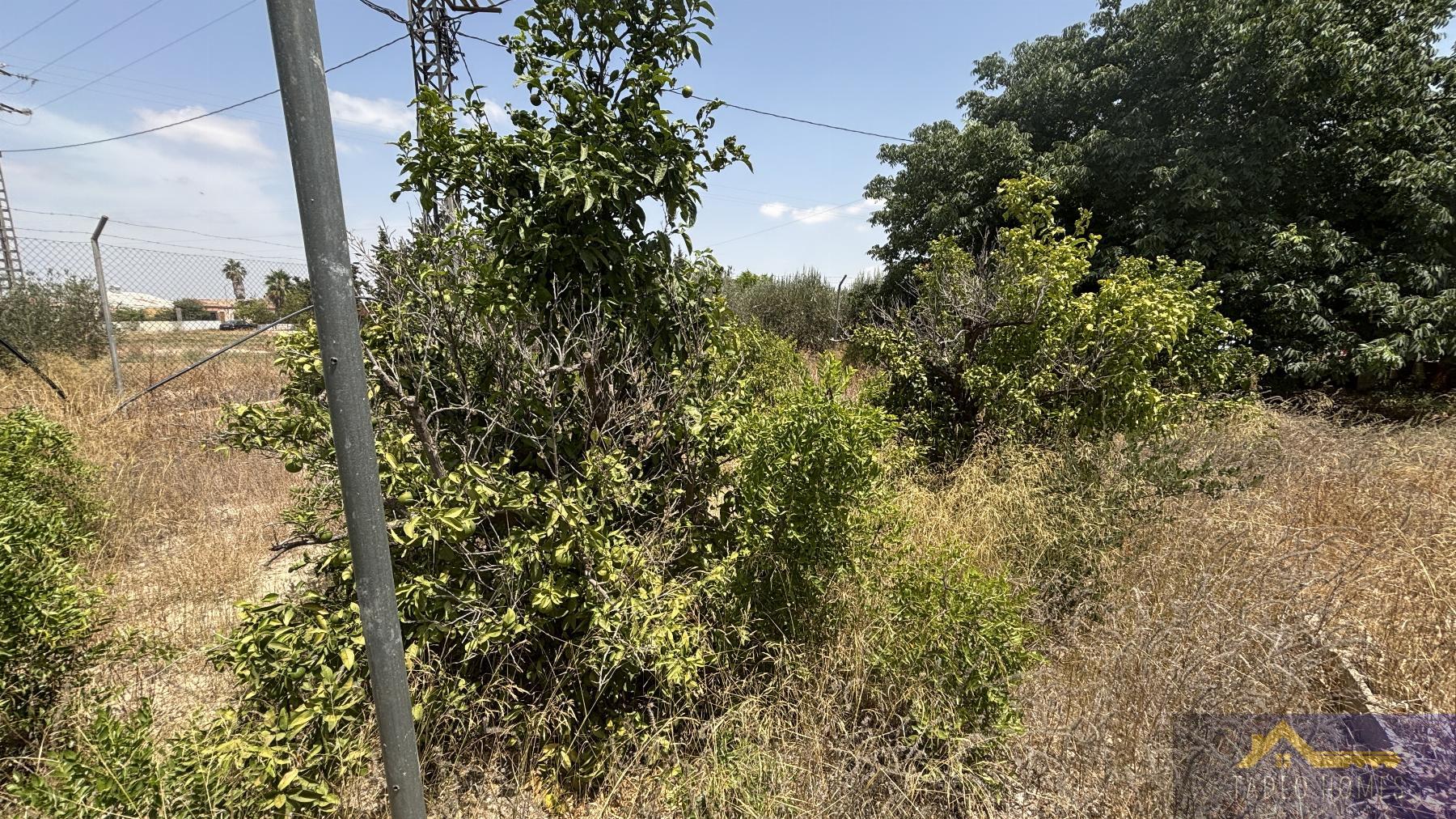 Venta de finca rústica en Los Martinez del Puerto