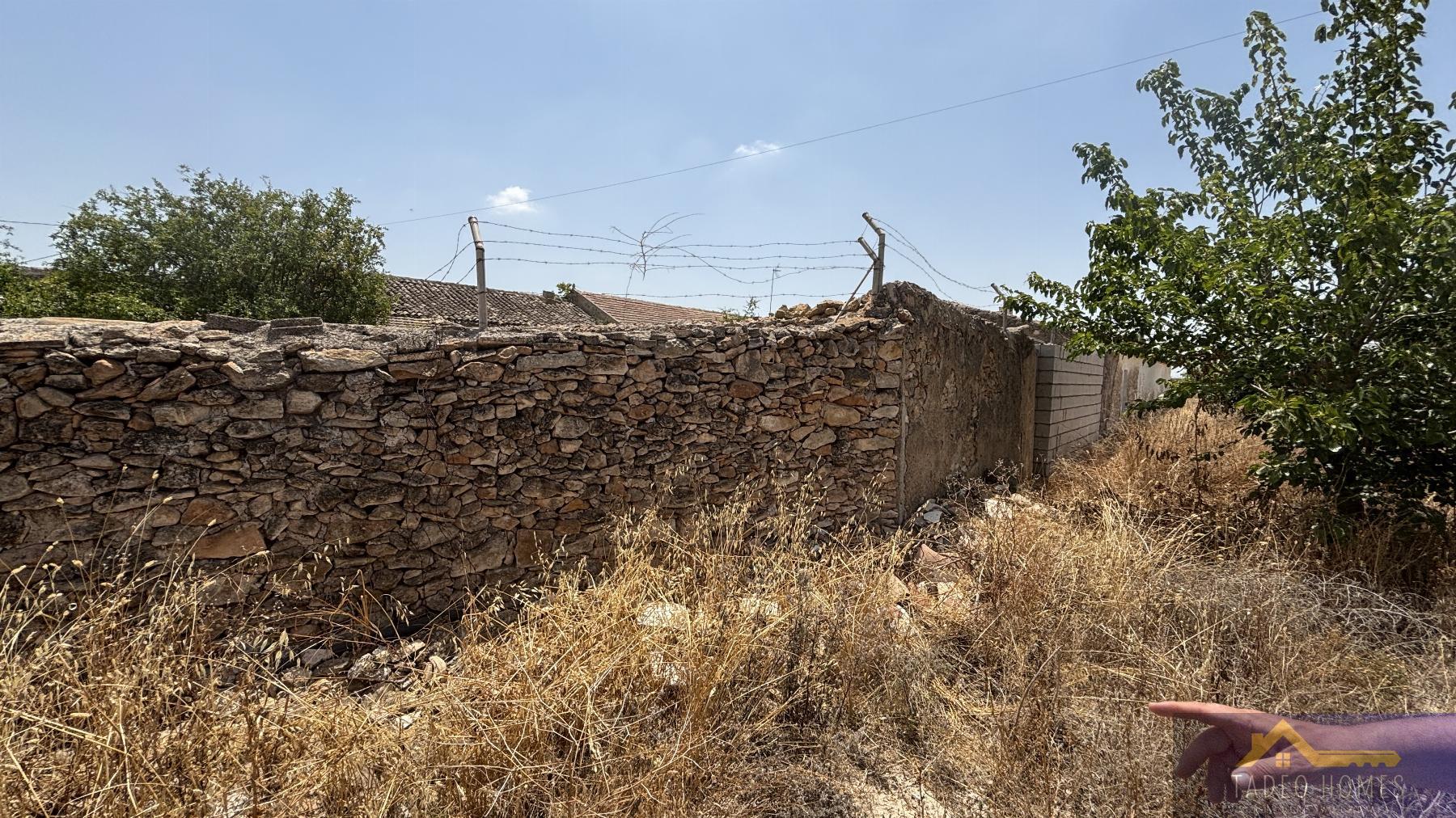 Venta de finca rústica en Los Martinez del Puerto