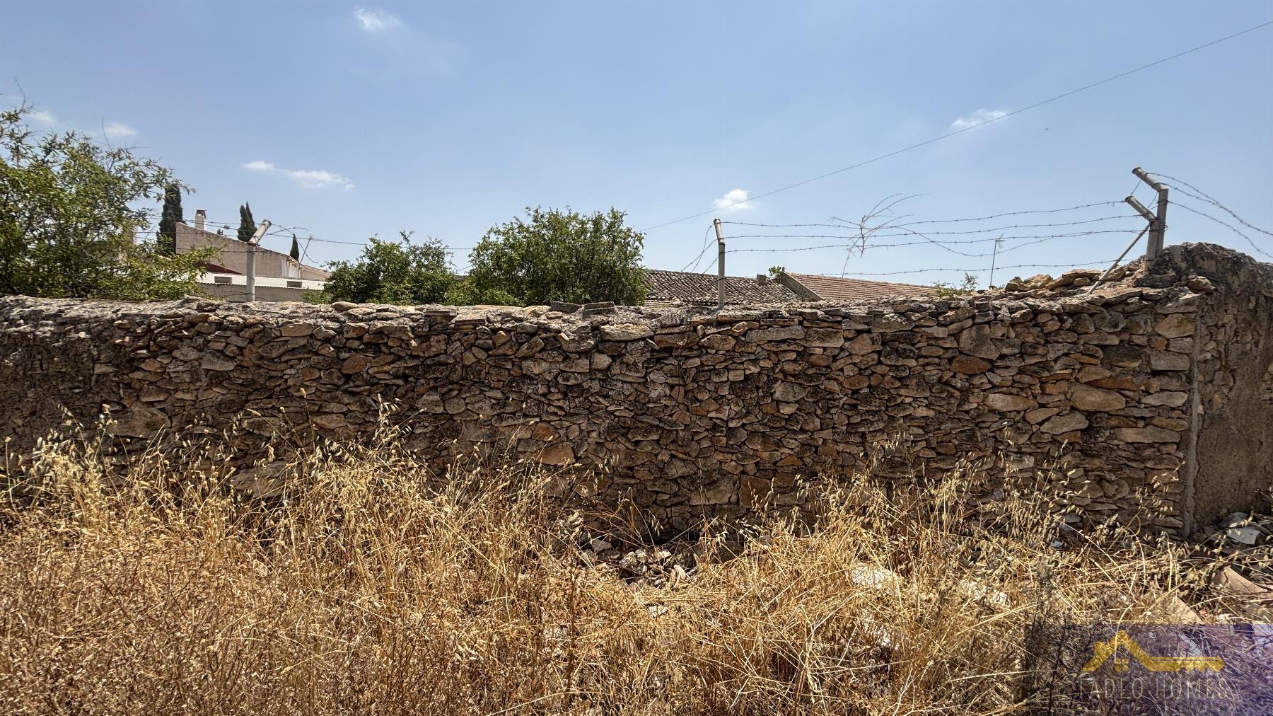 Venta de finca rústica en Los Martinez del Puerto