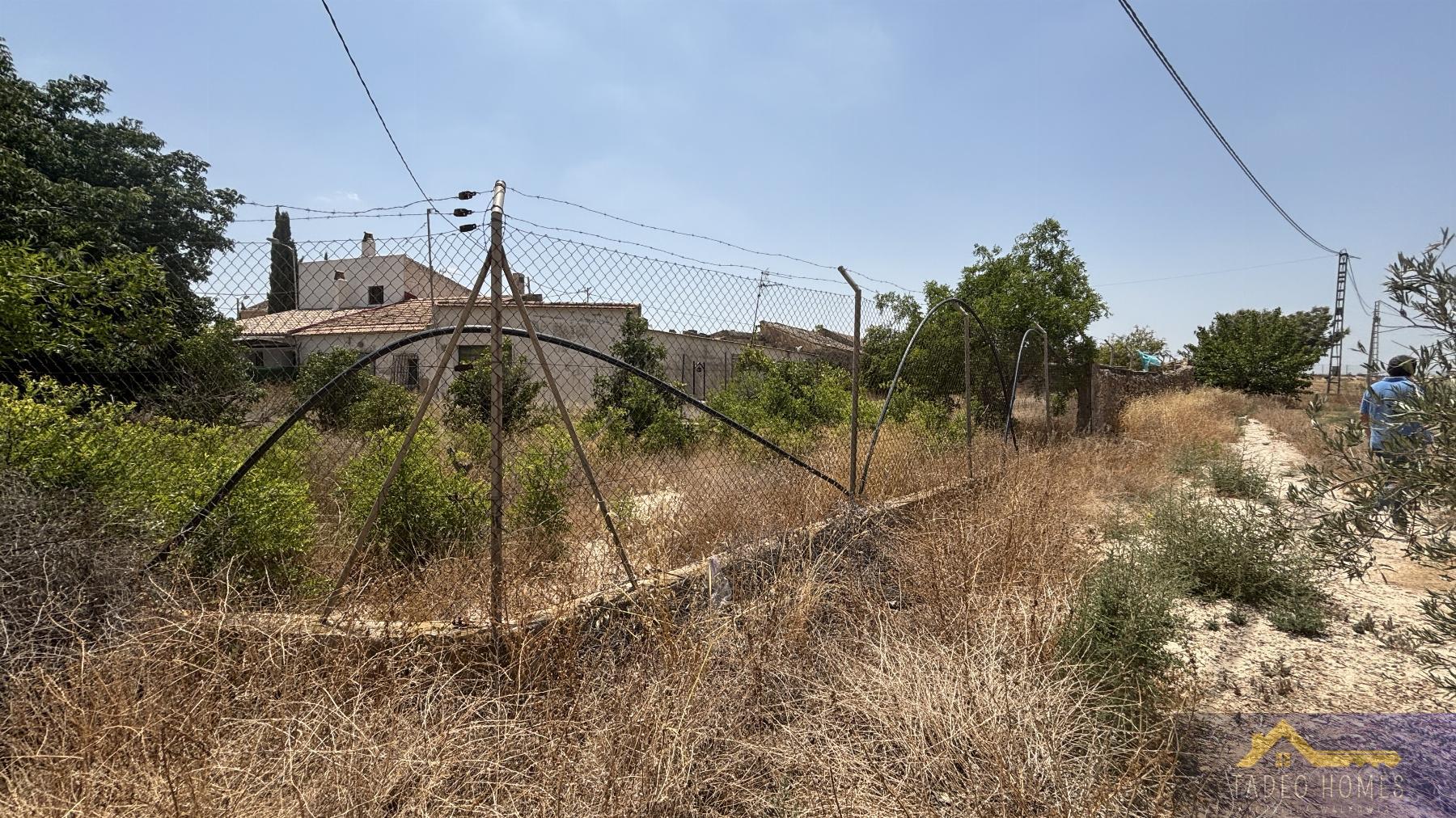 Venta de finca rústica en Los Martinez del Puerto