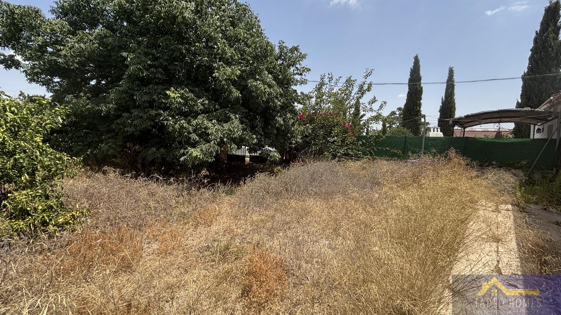 Venta de finca rústica en Los Martinez del Puerto