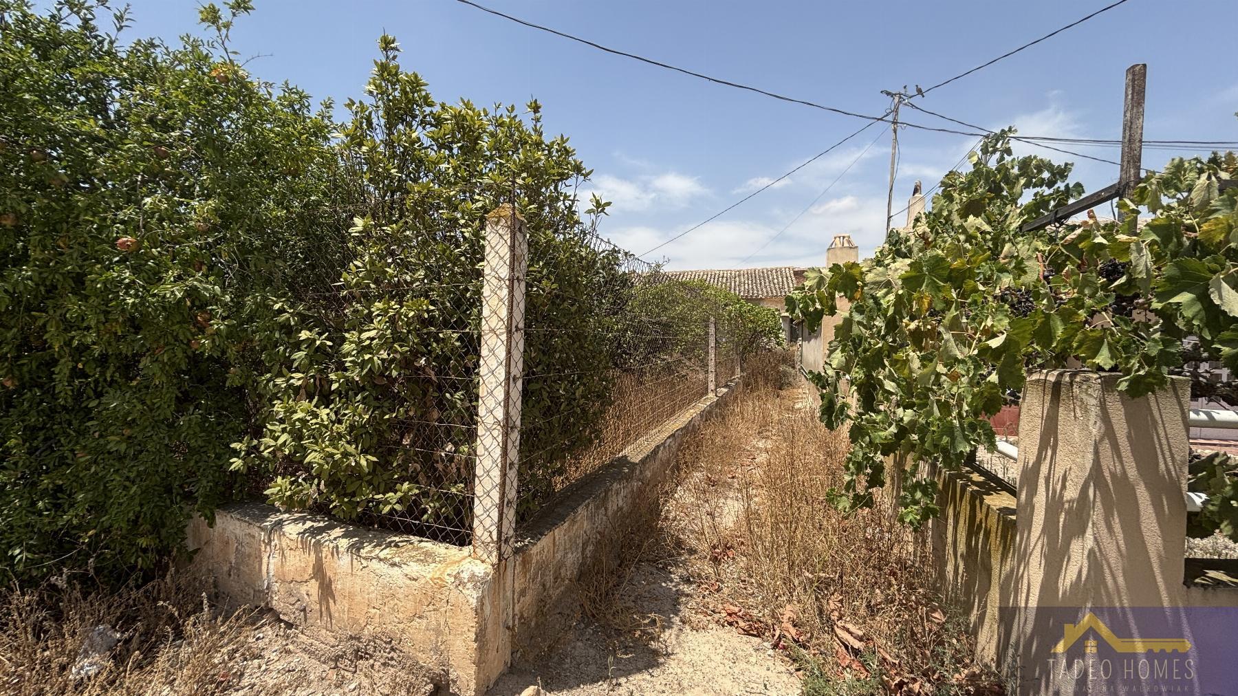 Venta de finca rústica en Los Martinez del Puerto