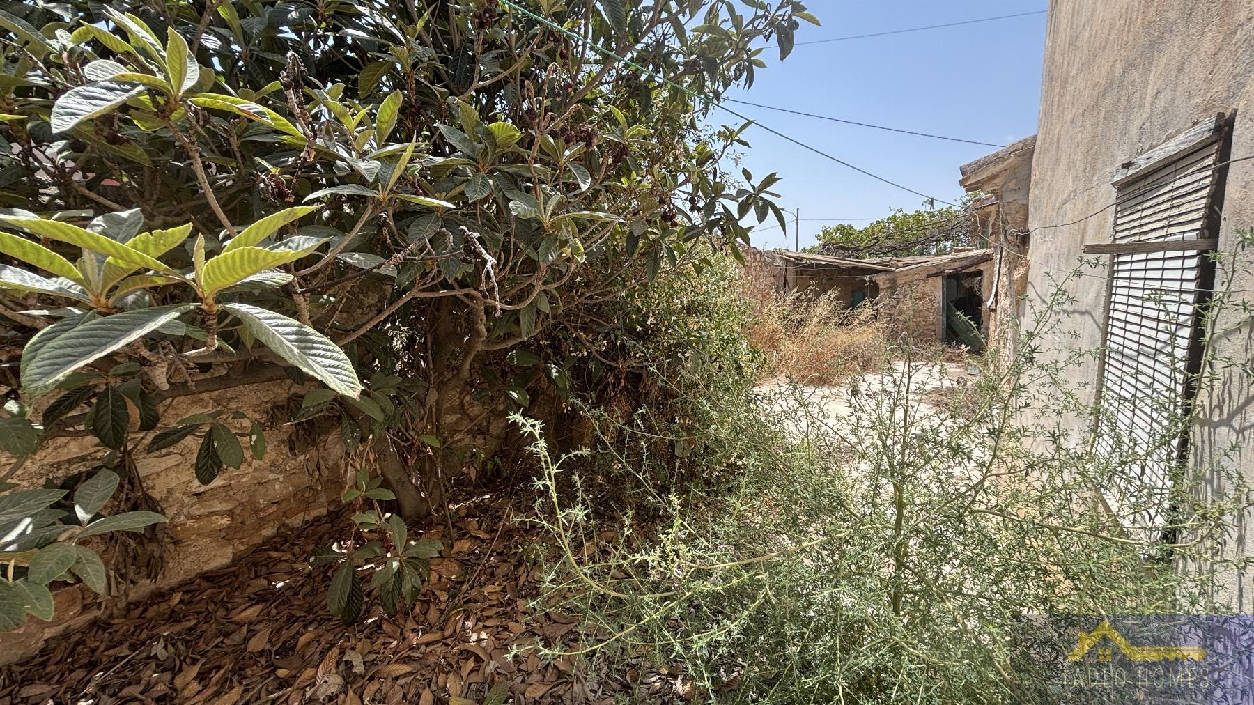 Venta de finca rústica en Los Martinez del Puerto