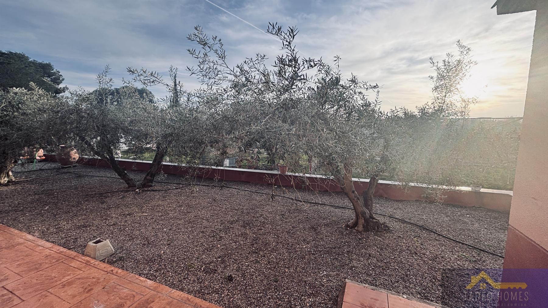 Venta de finca rústica en Gea y Truyols