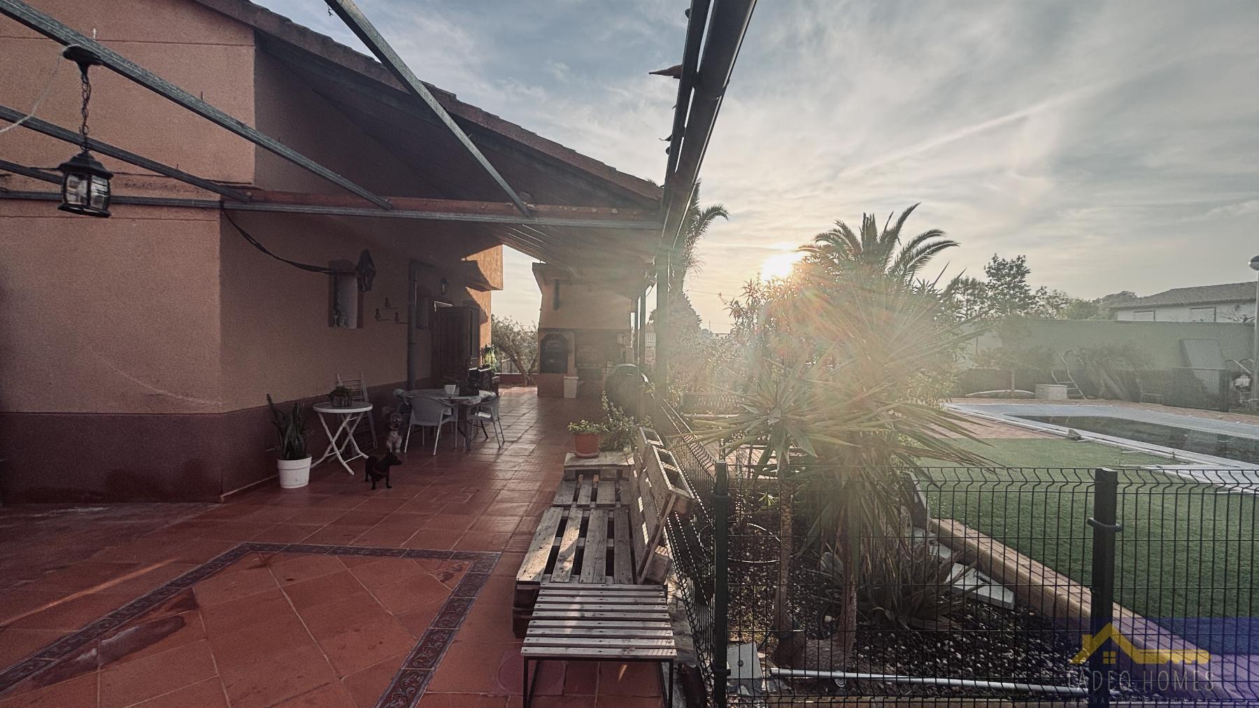 Venta de finca rústica en Gea y Truyols