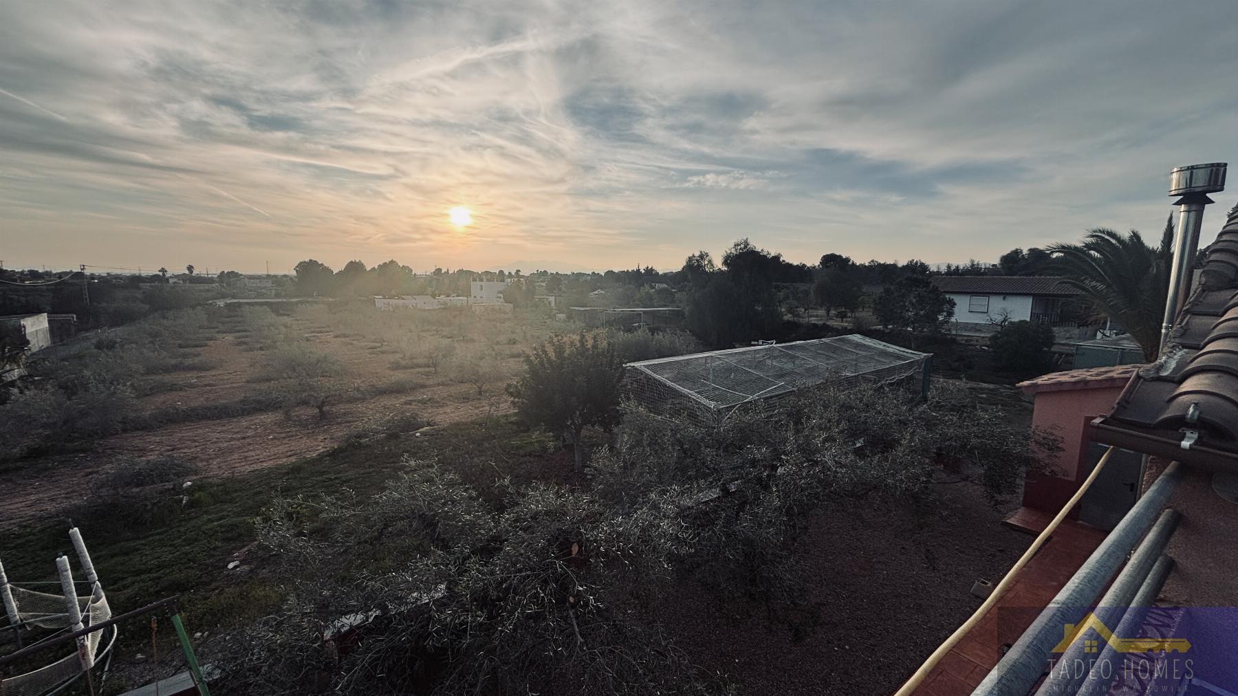 Venta de finca rústica en Gea y Truyols