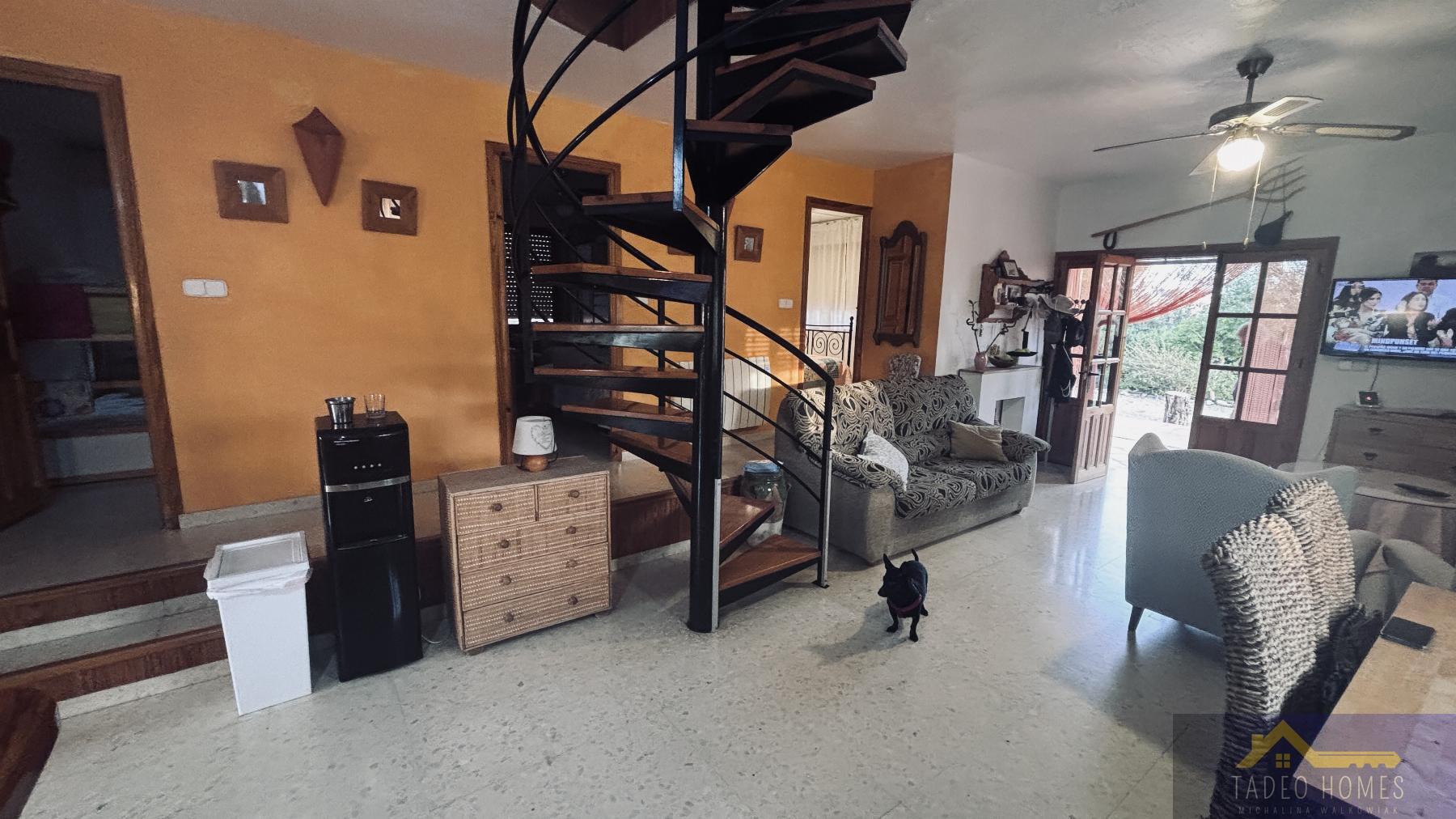 Venta de finca rústica en Gea y Truyols