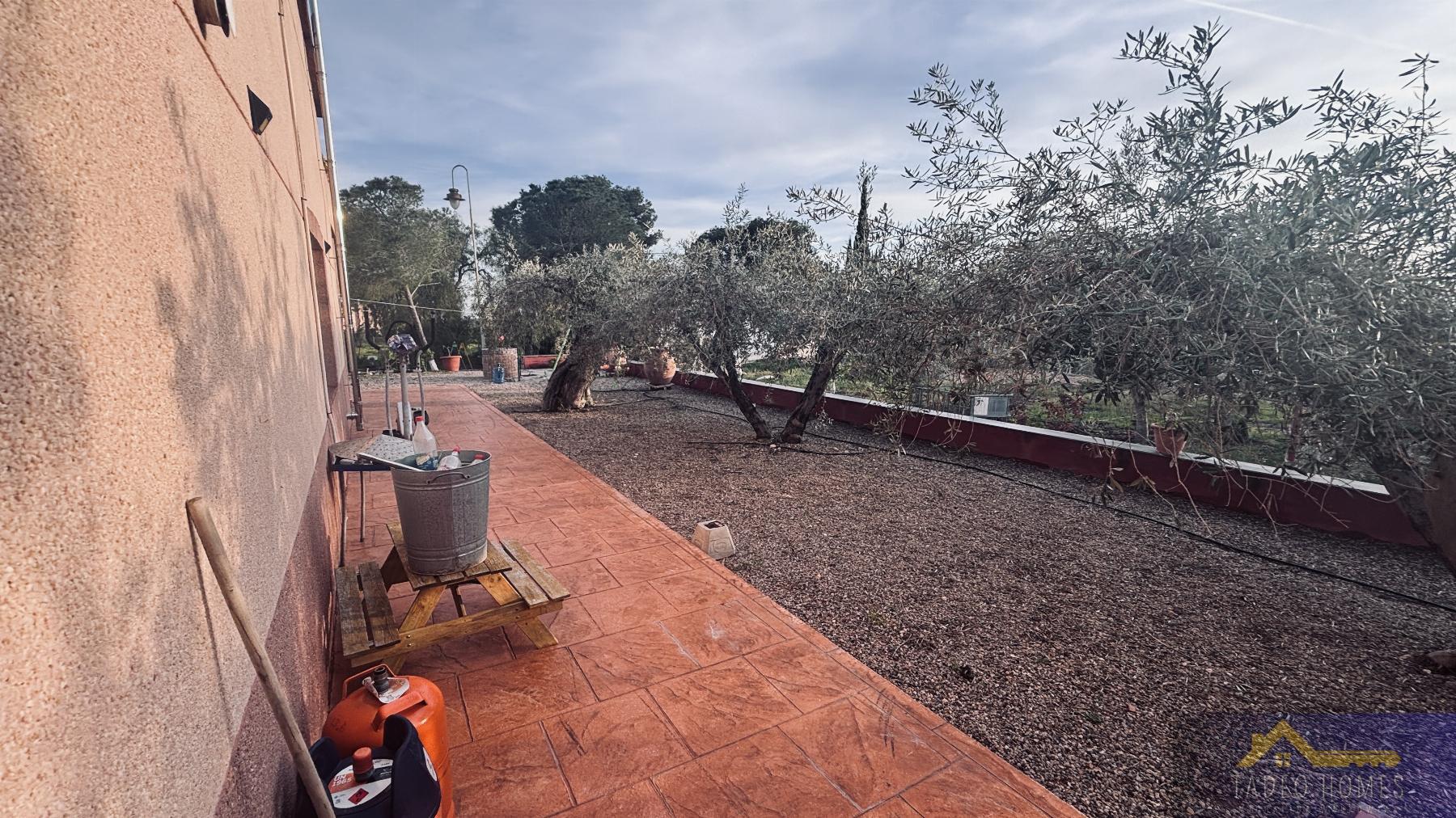 Venta de finca rústica en Gea y Truyols