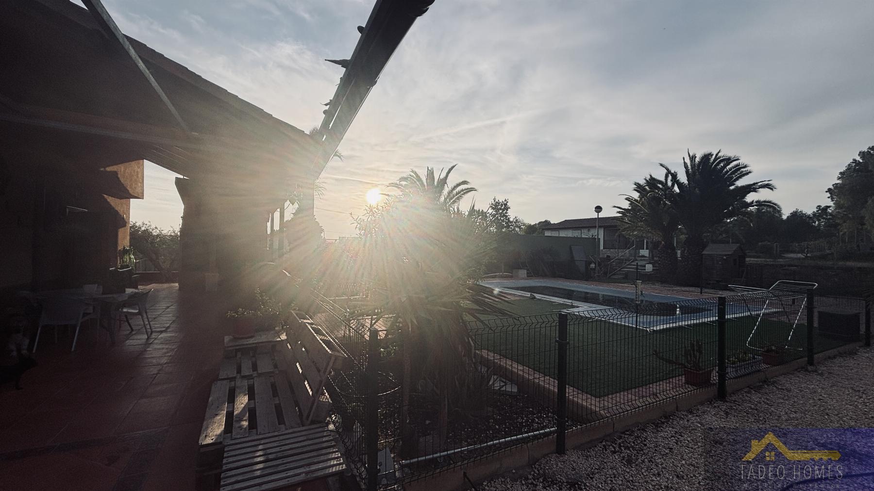 Venta de finca rústica en Gea y Truyols