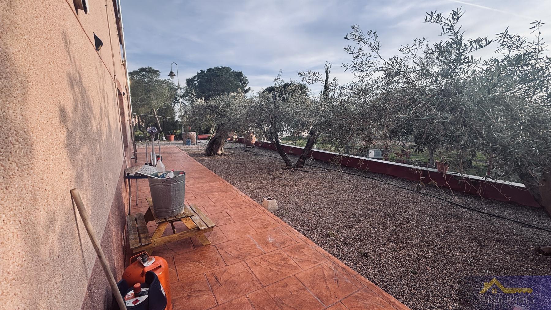 Venta de finca rústica en Gea y Truyols