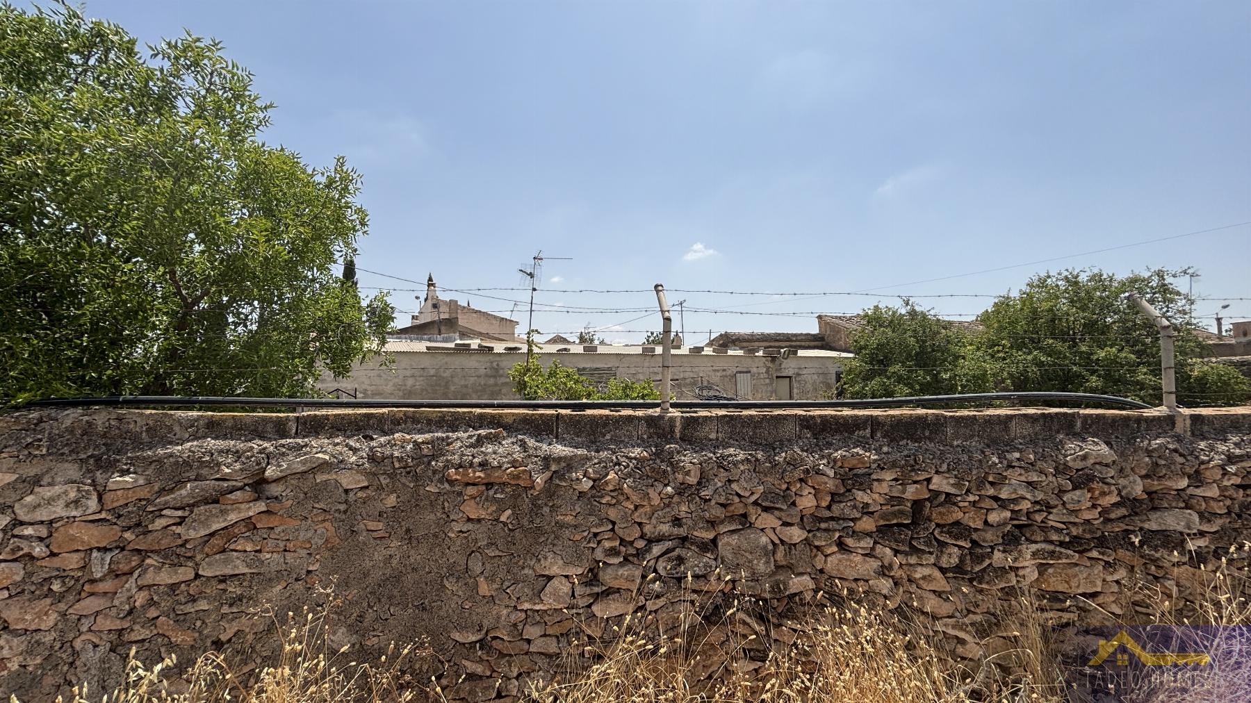 Venta de finca rústica en Los Martinez del Puerto