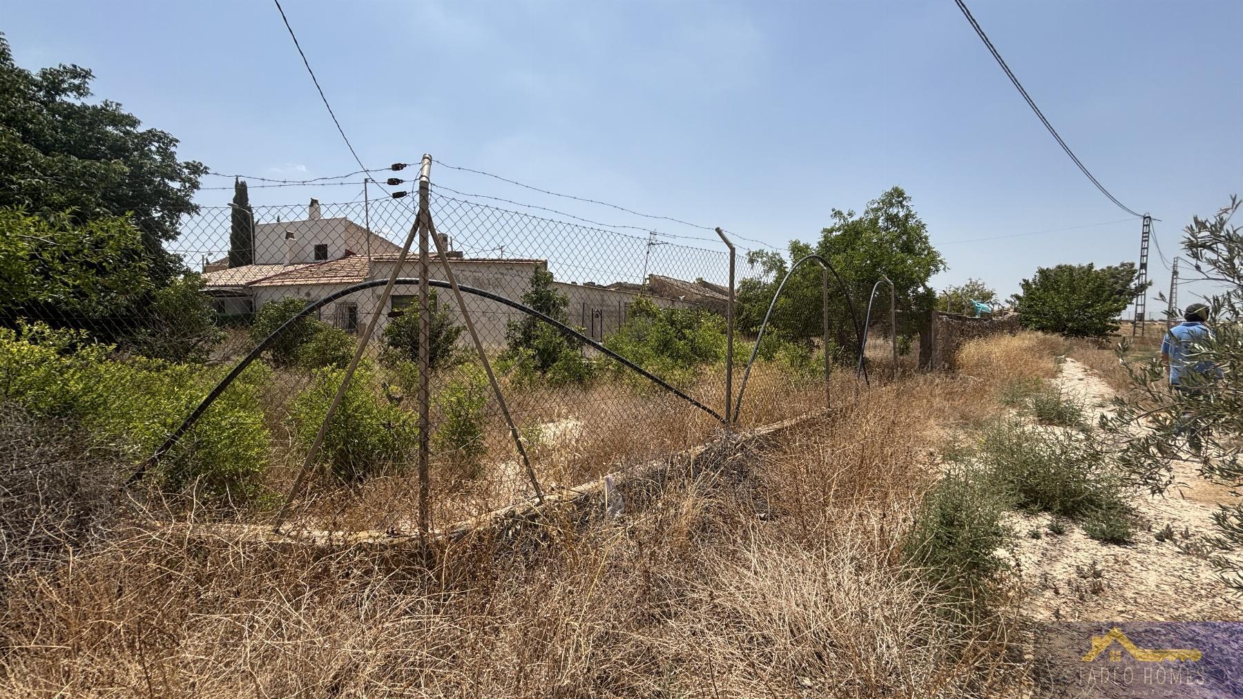 Venta de finca rústica en Los Martinez del Puerto
