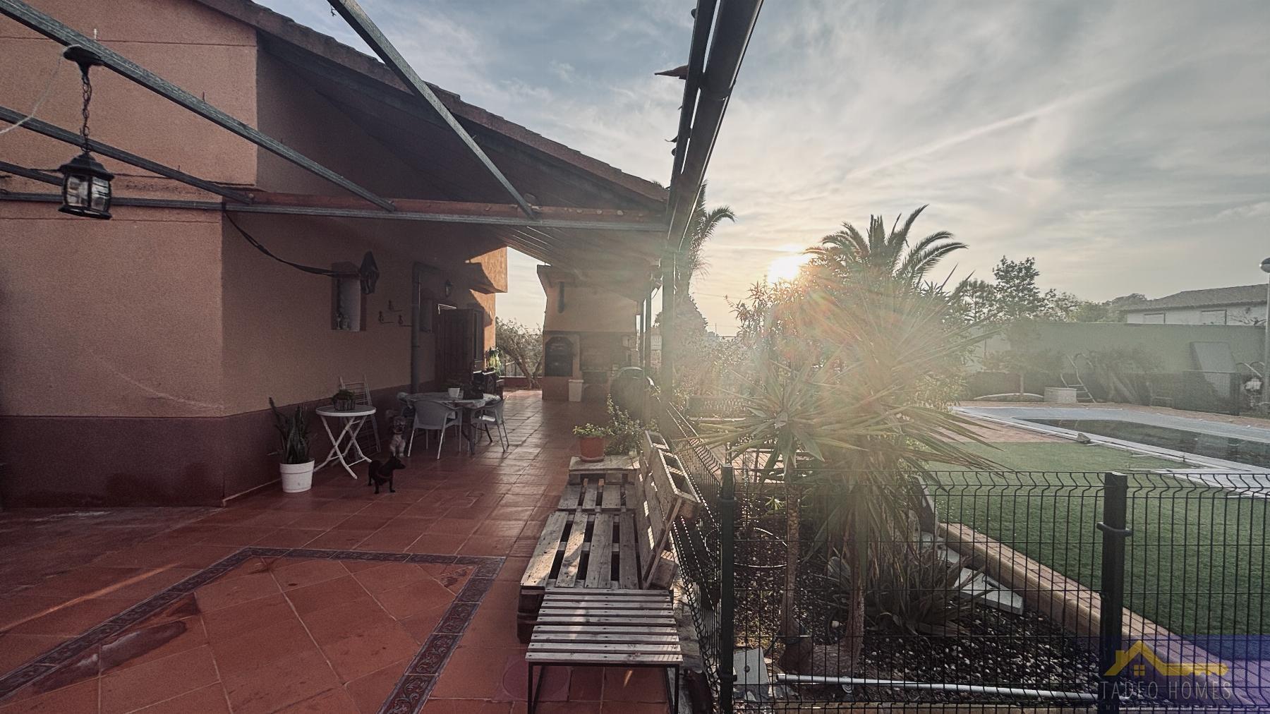 Venta de finca rústica en Gea y Truyols