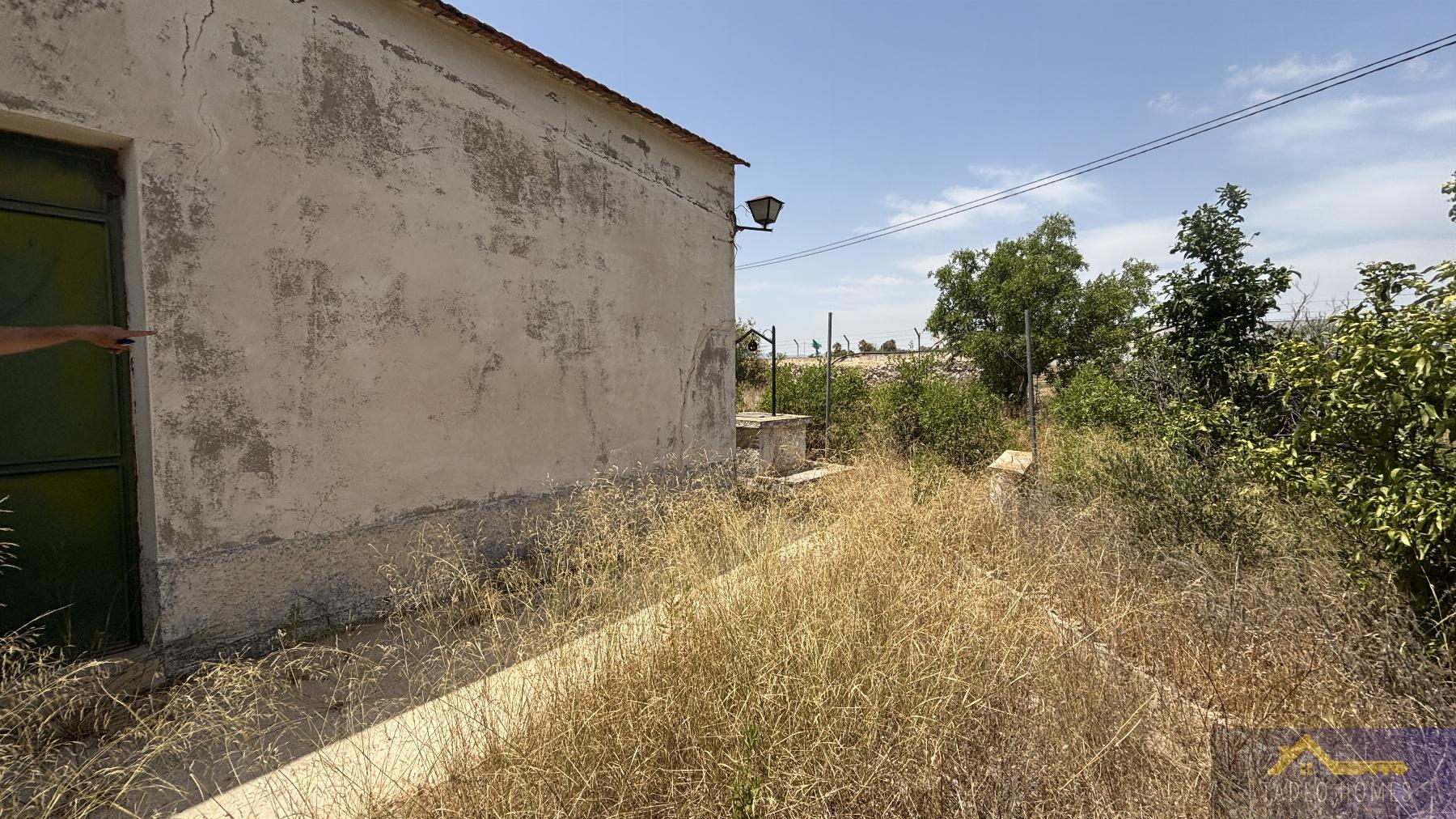 Venta de finca rústica en Los Martinez del Puerto