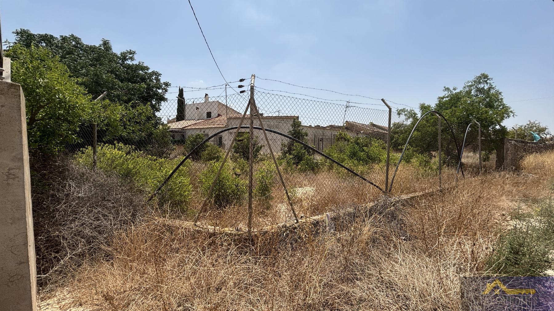 Venta de finca rústica en Los Martinez del Puerto