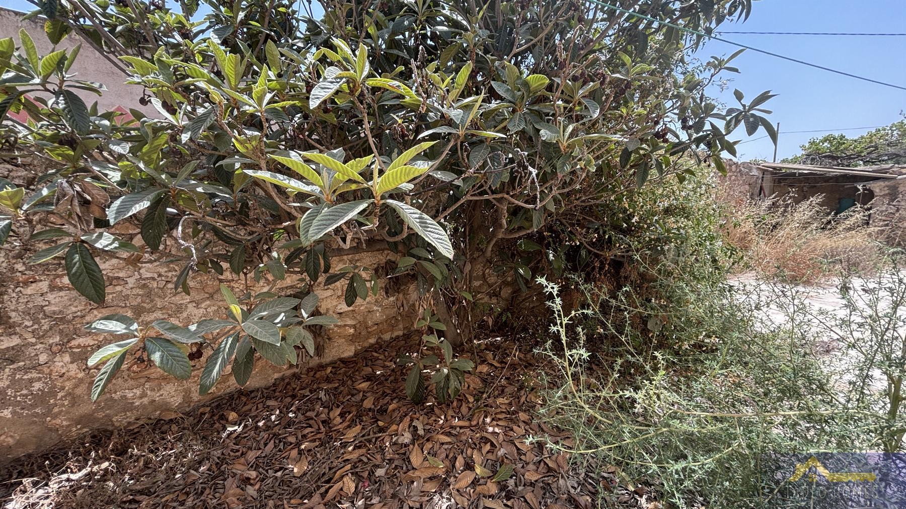 Venta de finca rústica en Los Martinez del Puerto