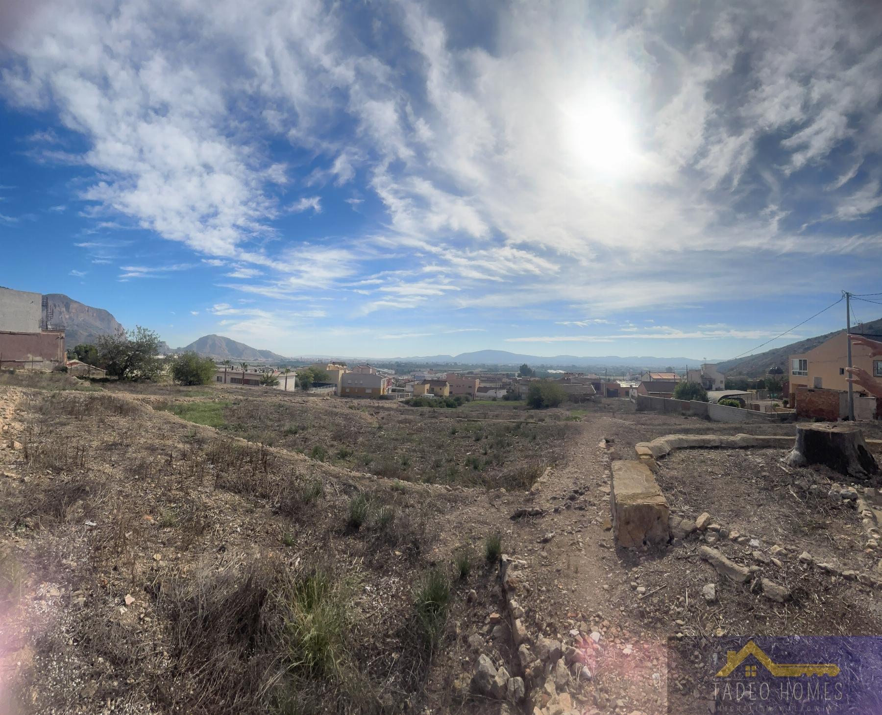 Venta de finca rústica en Orihuela