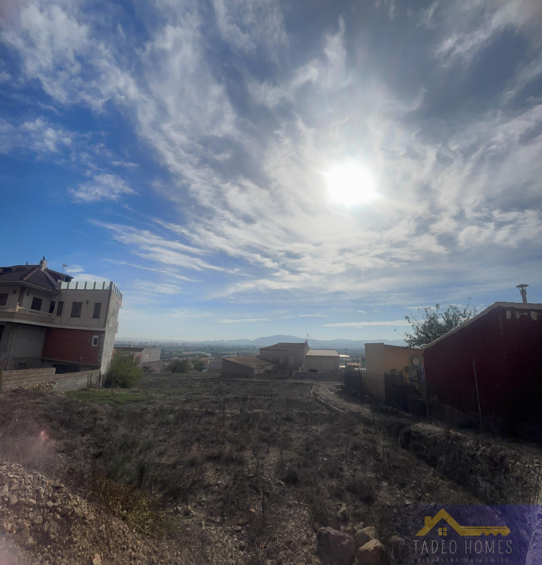 Venta de finca rústica en Orihuela
