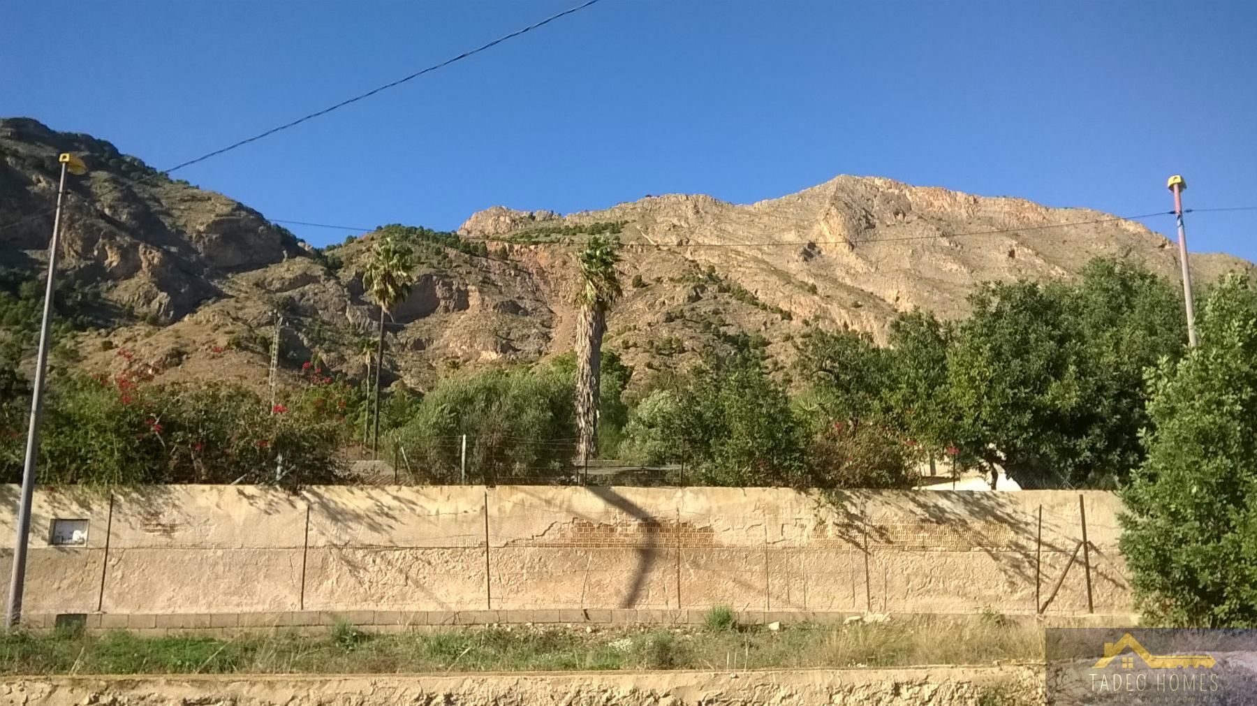 Venta de finca rústica en Orihuela