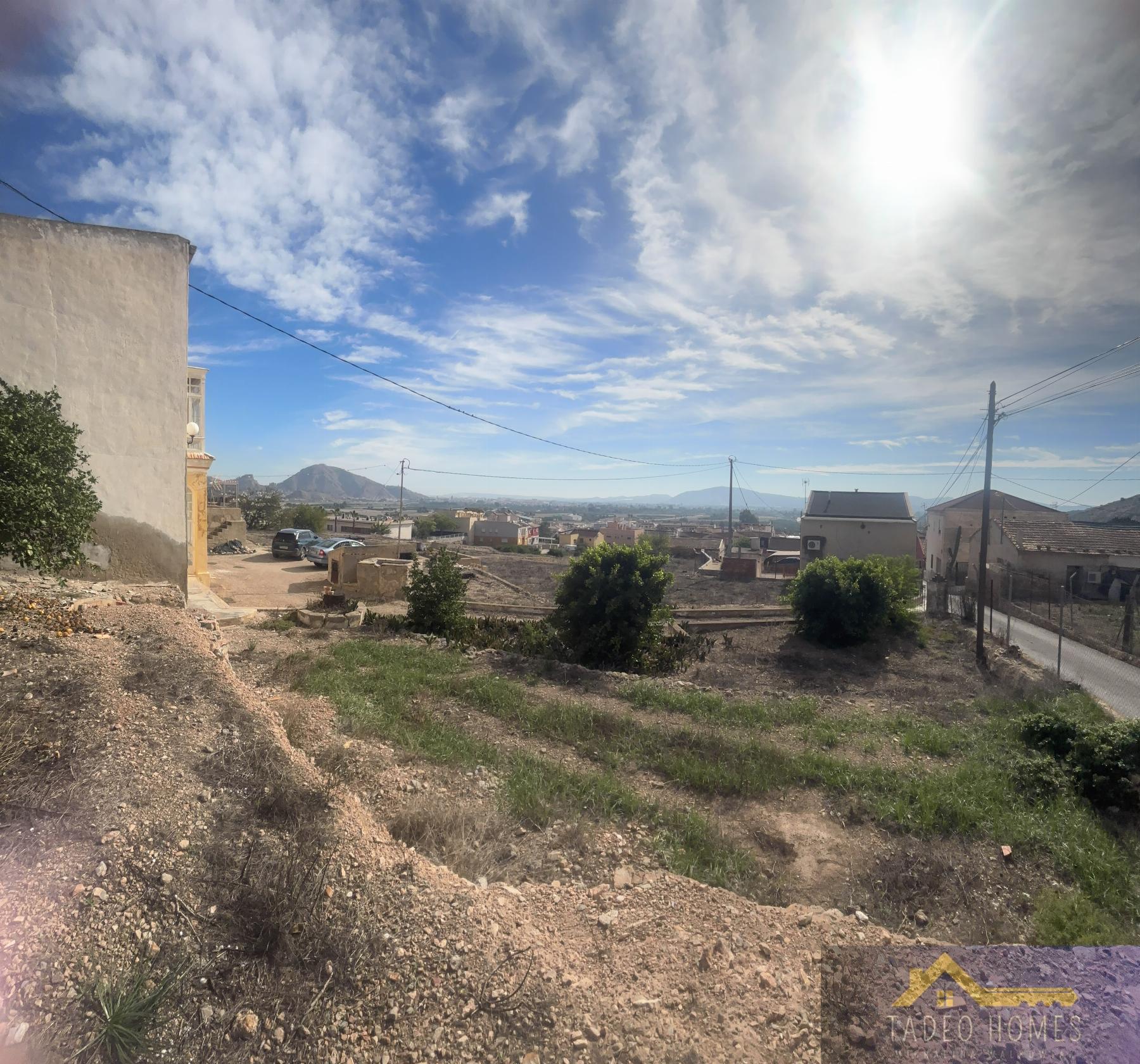 Venta de finca rústica en Orihuela