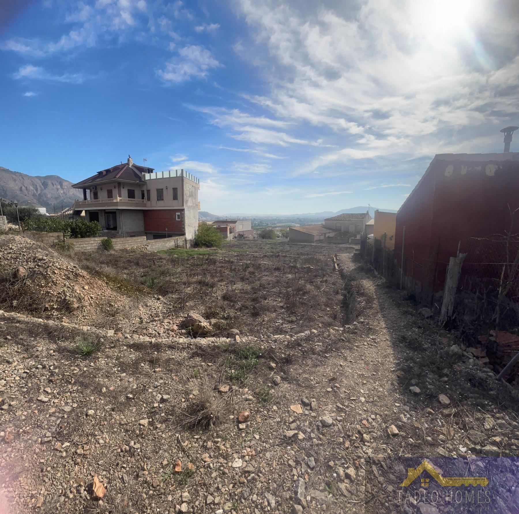 Venta de finca rústica en Orihuela