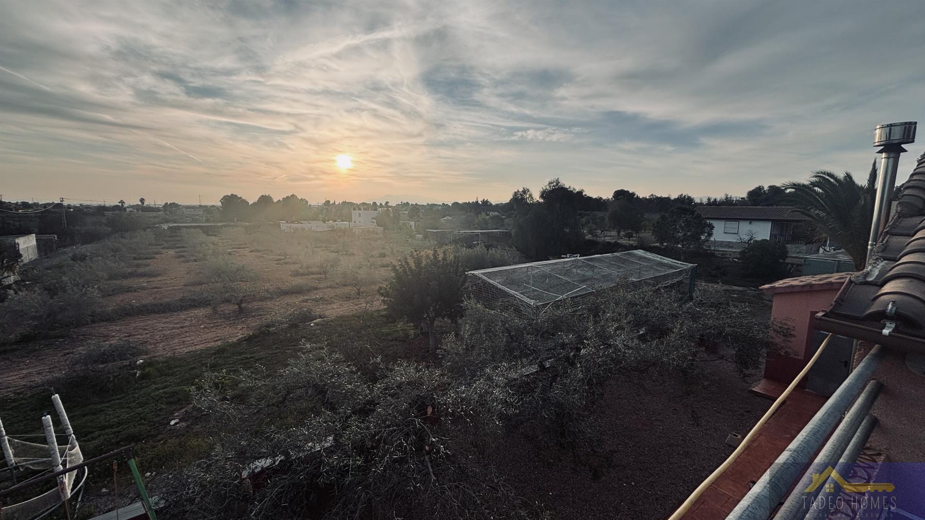Venta de finca rústica en Gea y Truyols