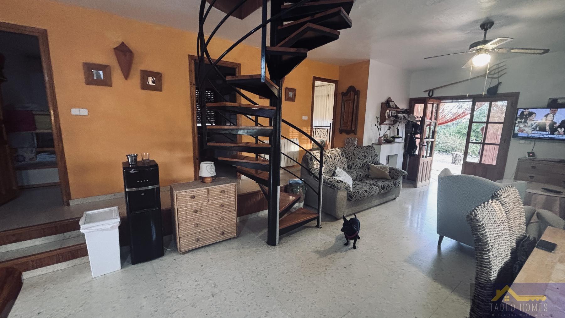 Venta de finca rústica en Gea y Truyols