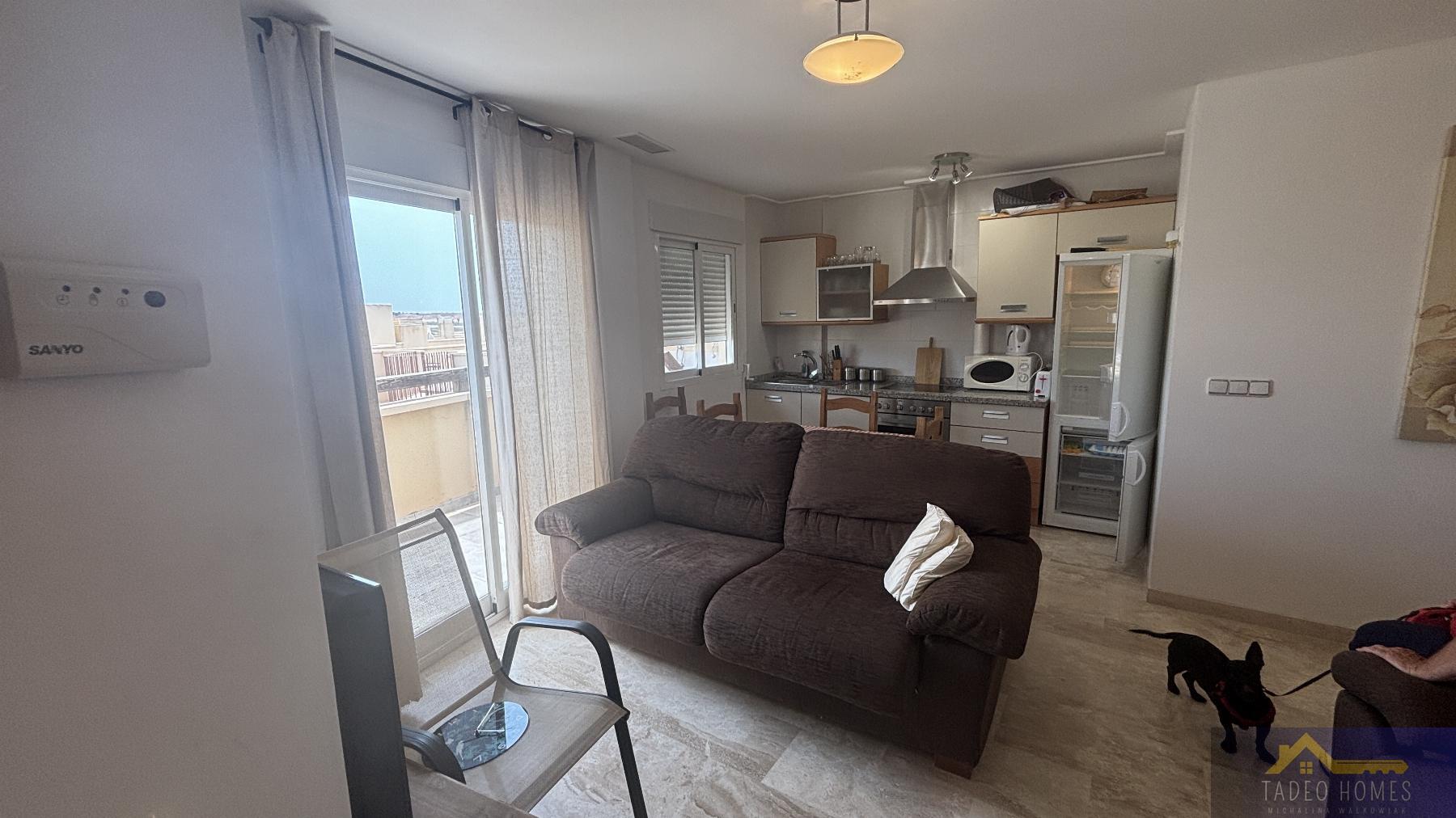 Alquiler de apartamento en Gea y Truyols