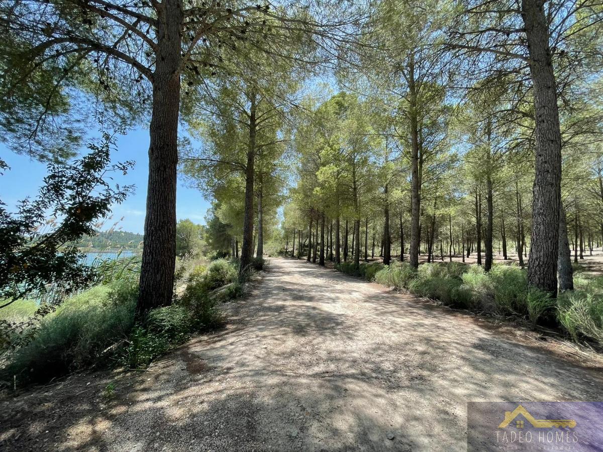 Venta de villa en Calasparra