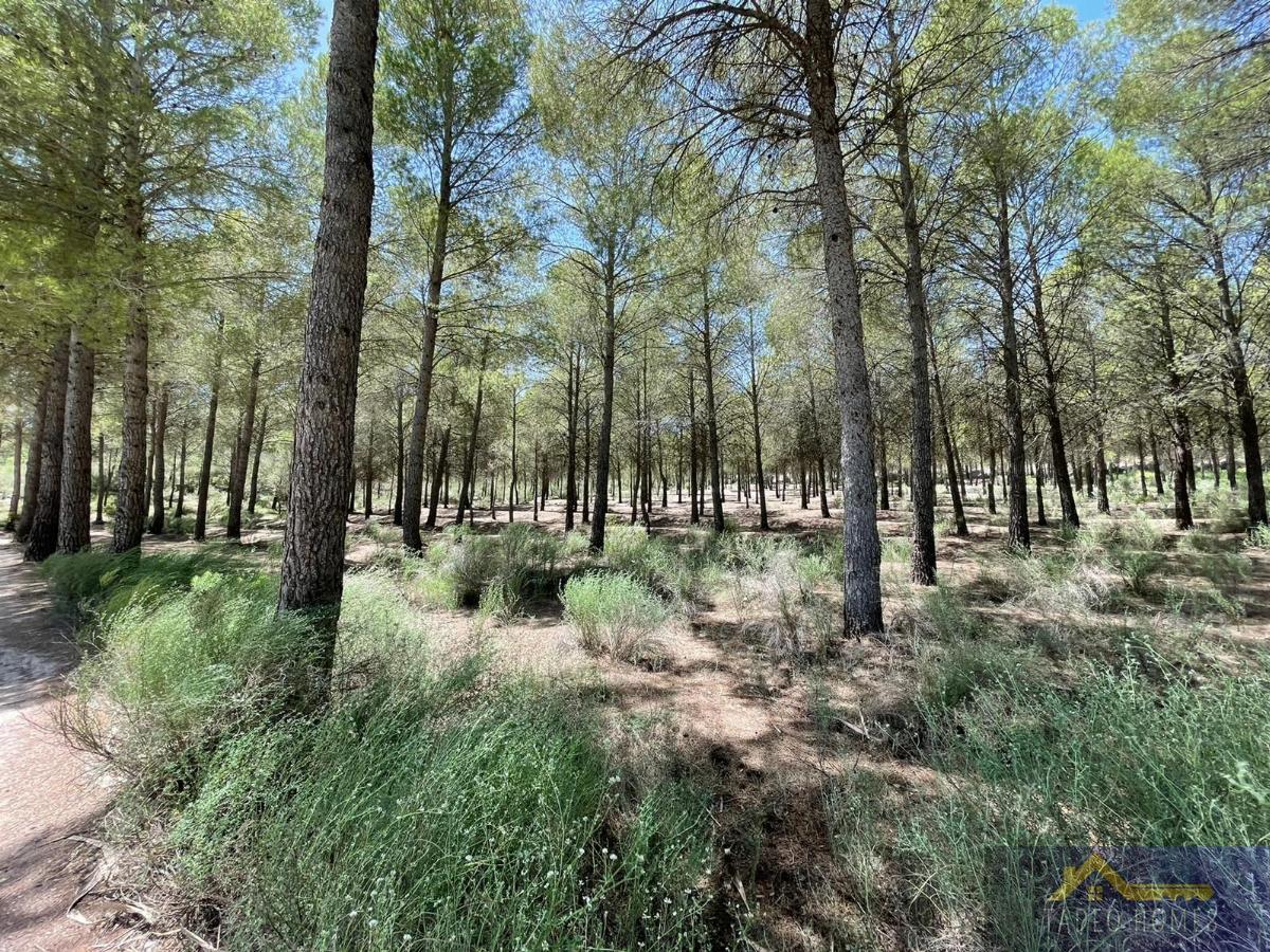Venta de villa en Calasparra