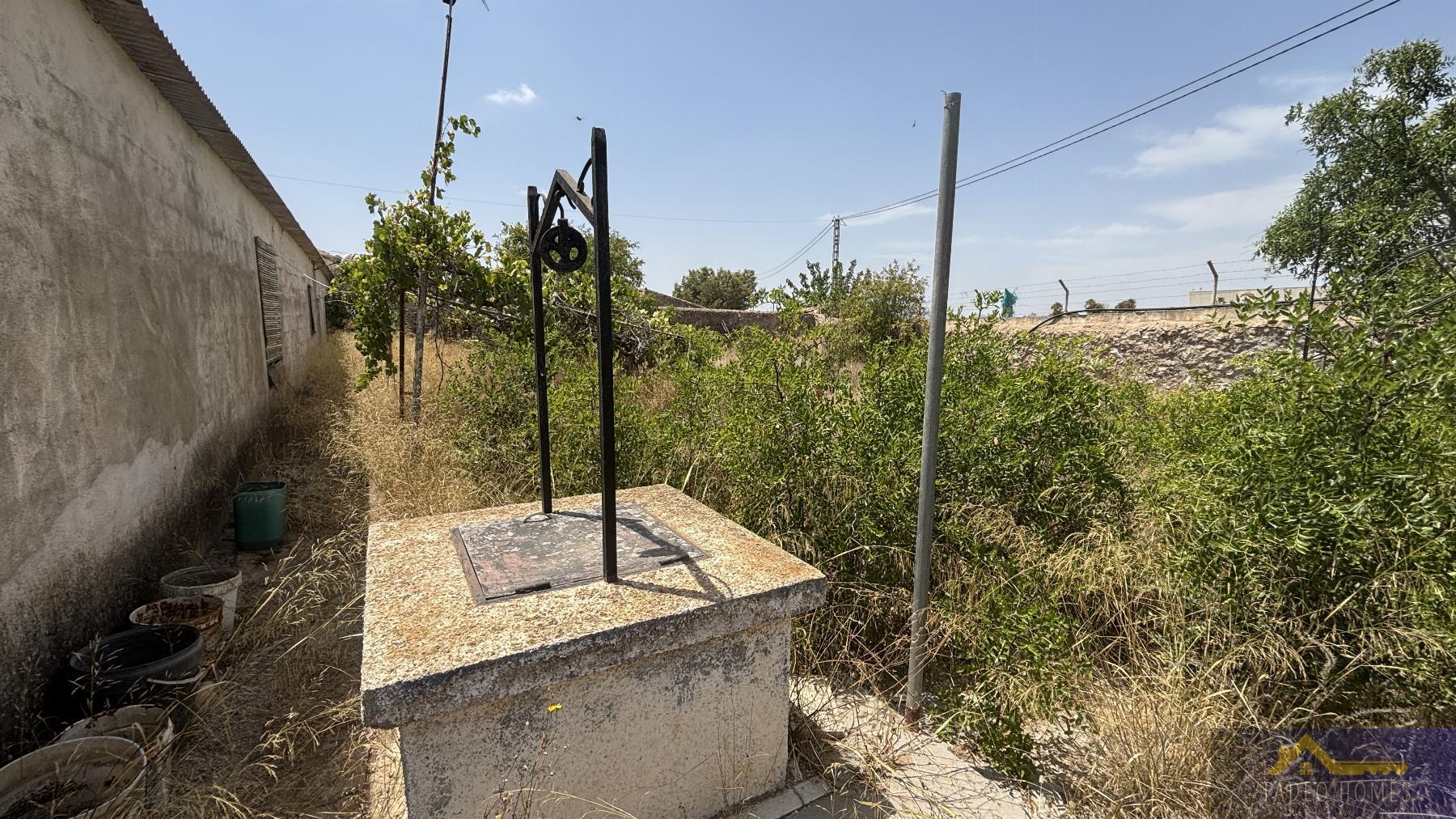 Venta de finca rústica en Los Martinez del Puerto