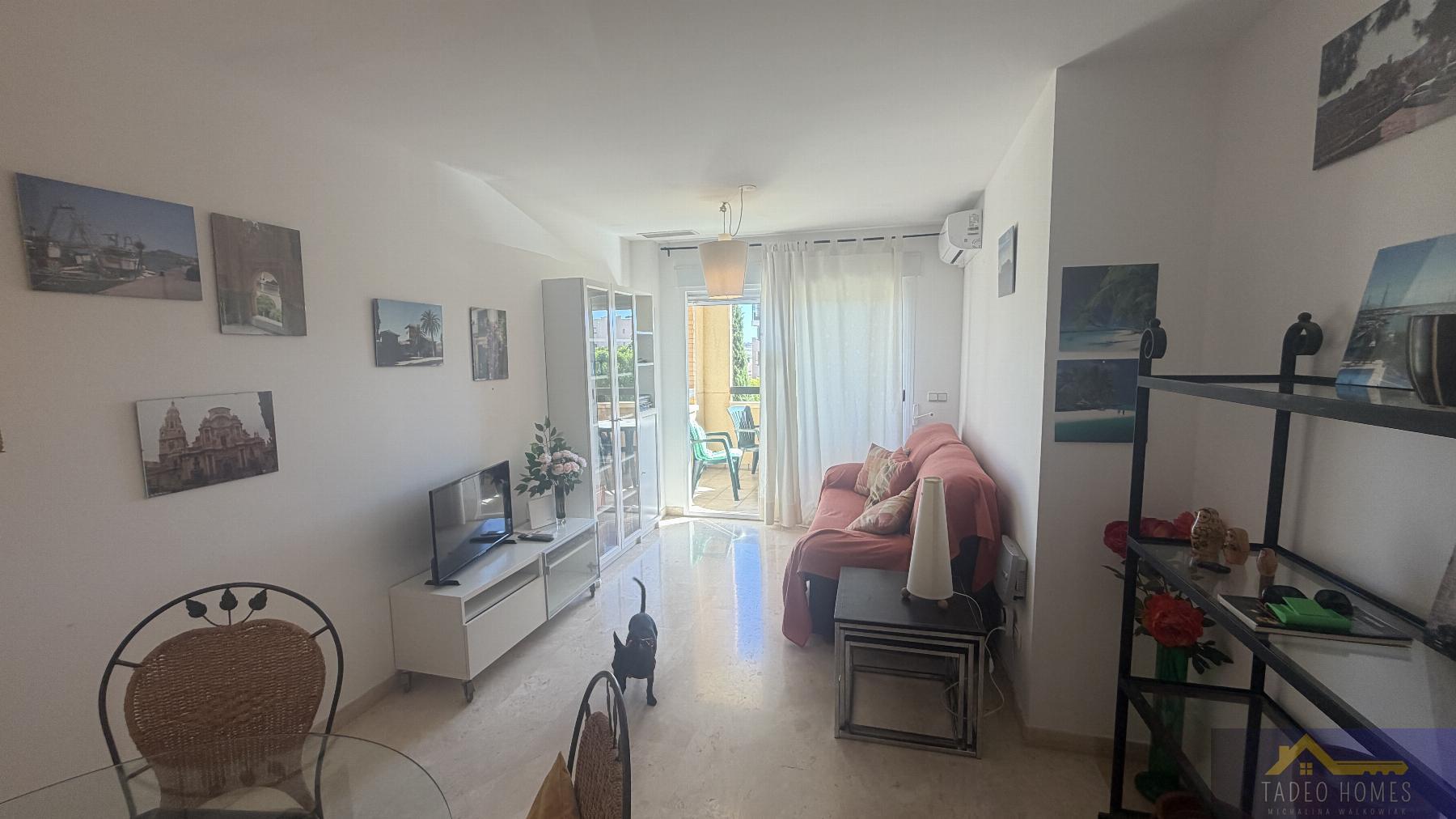 Alquiler de apartamento en Gea y Truyols
