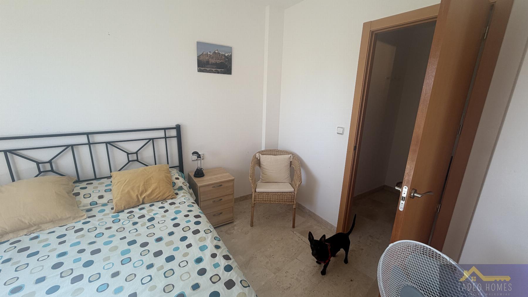 Alquiler de apartamento en Gea y Truyols