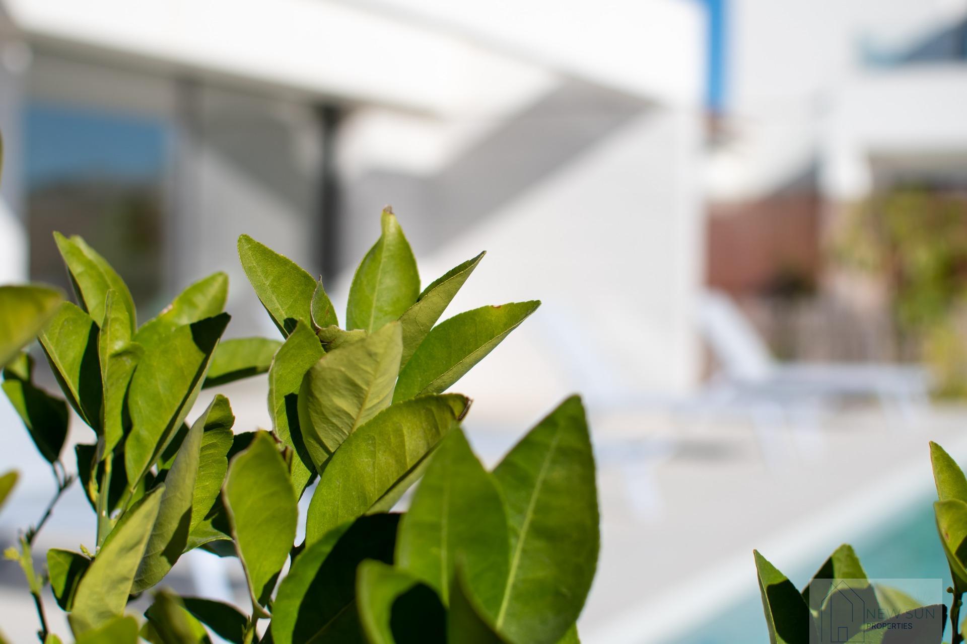 For sale of villa in Los Montesinos