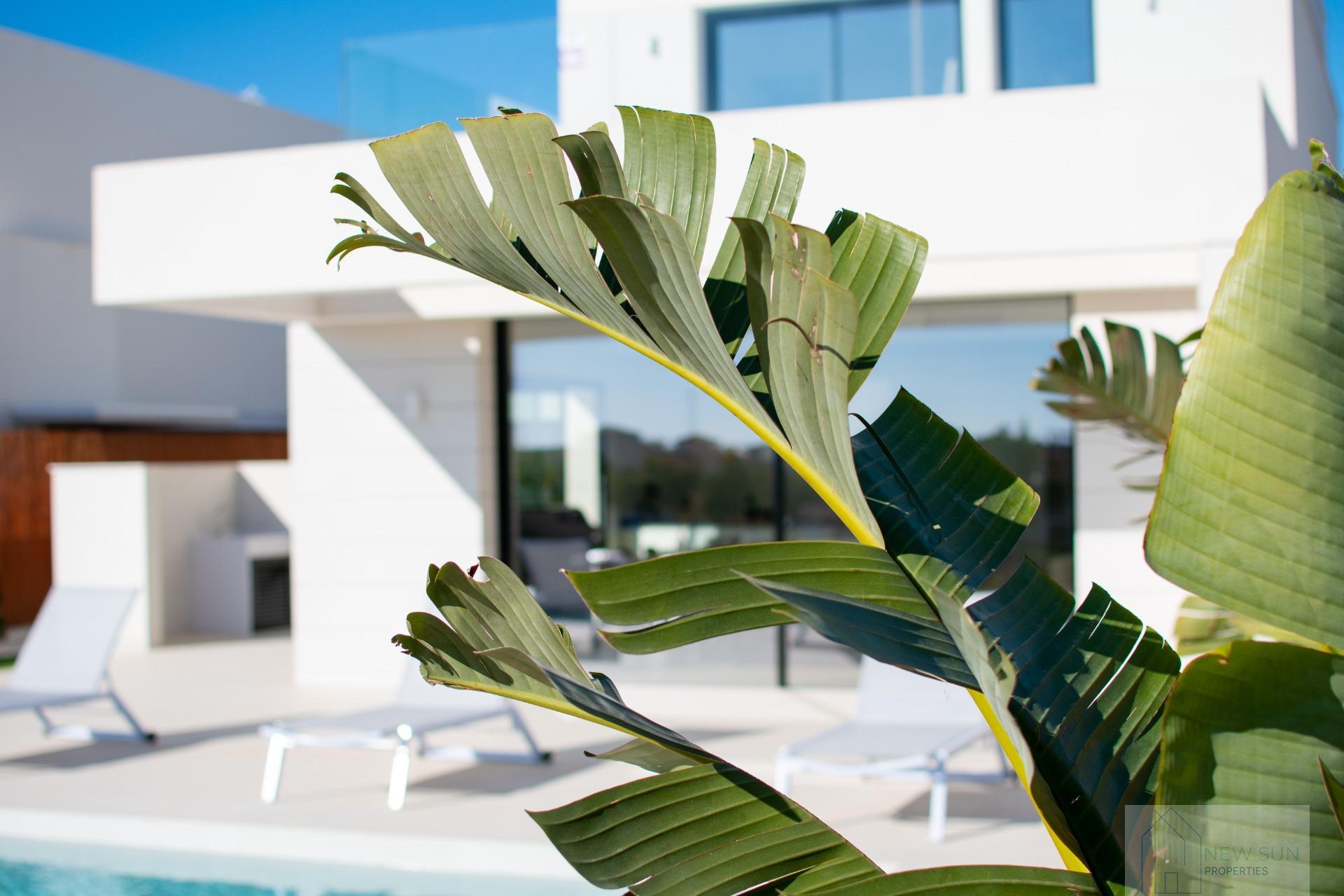 For sale of villa in Los Montesinos