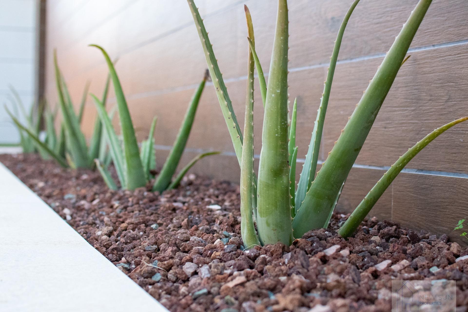 For sale of villa in Los Montesinos