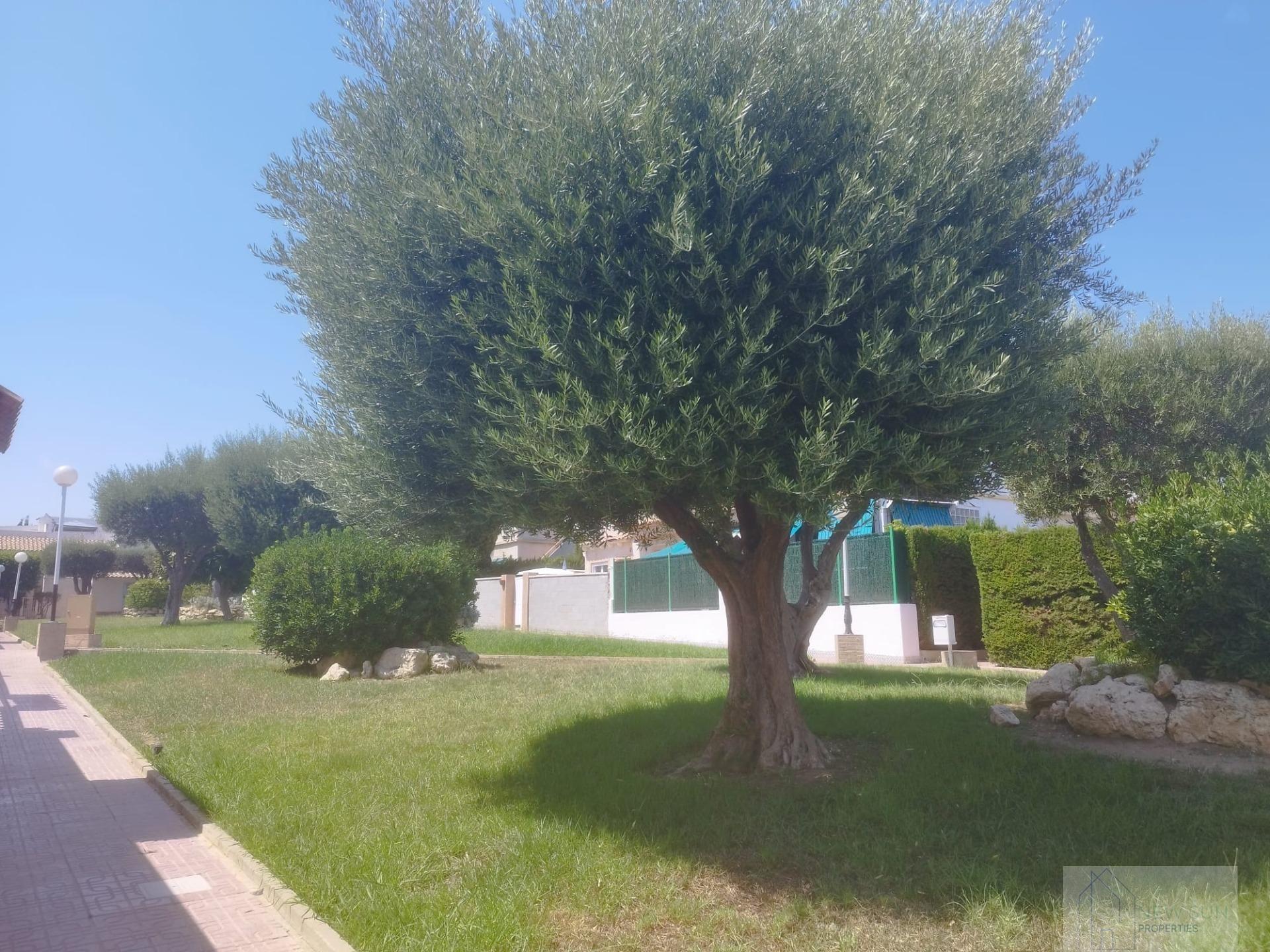 For sale of house in Torrevieja